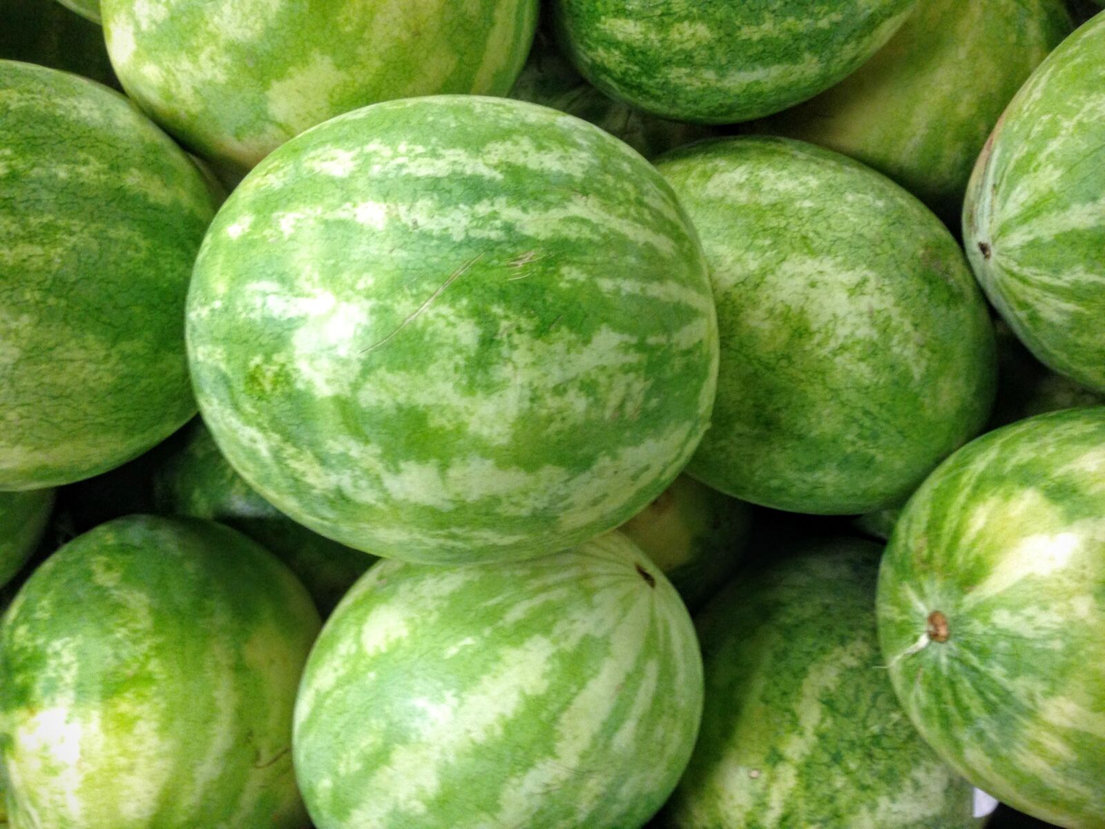 iPhone 5 back camera 4.12mm f/2.4 sample photo. Watermelon, produce, fresh photography