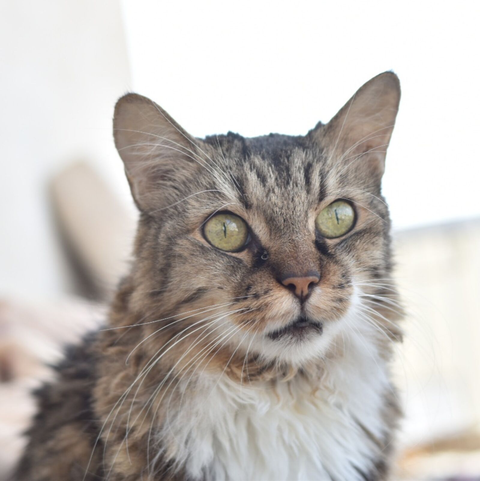 Nikon D5600 sample photo