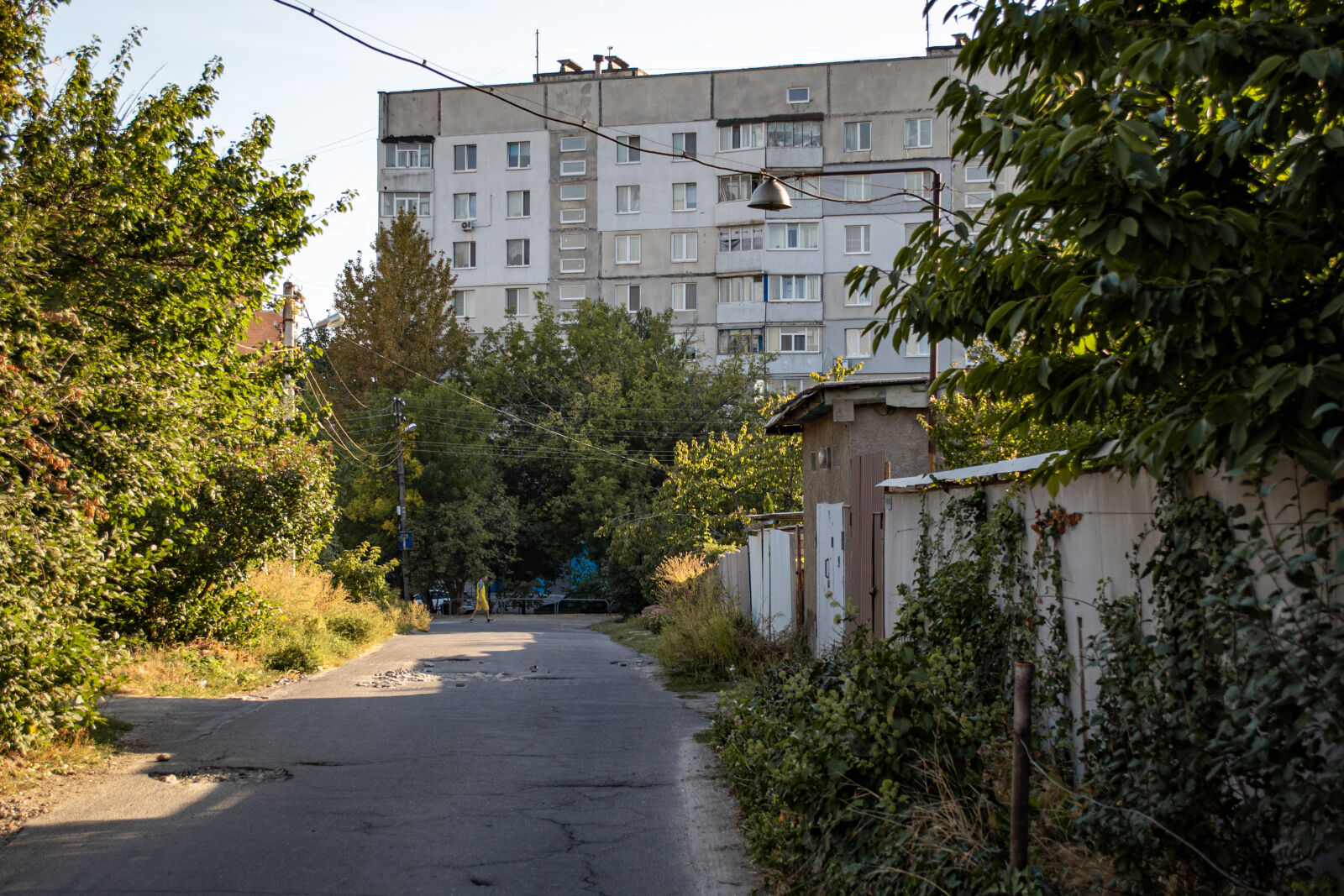 Nikon D750 sample photo