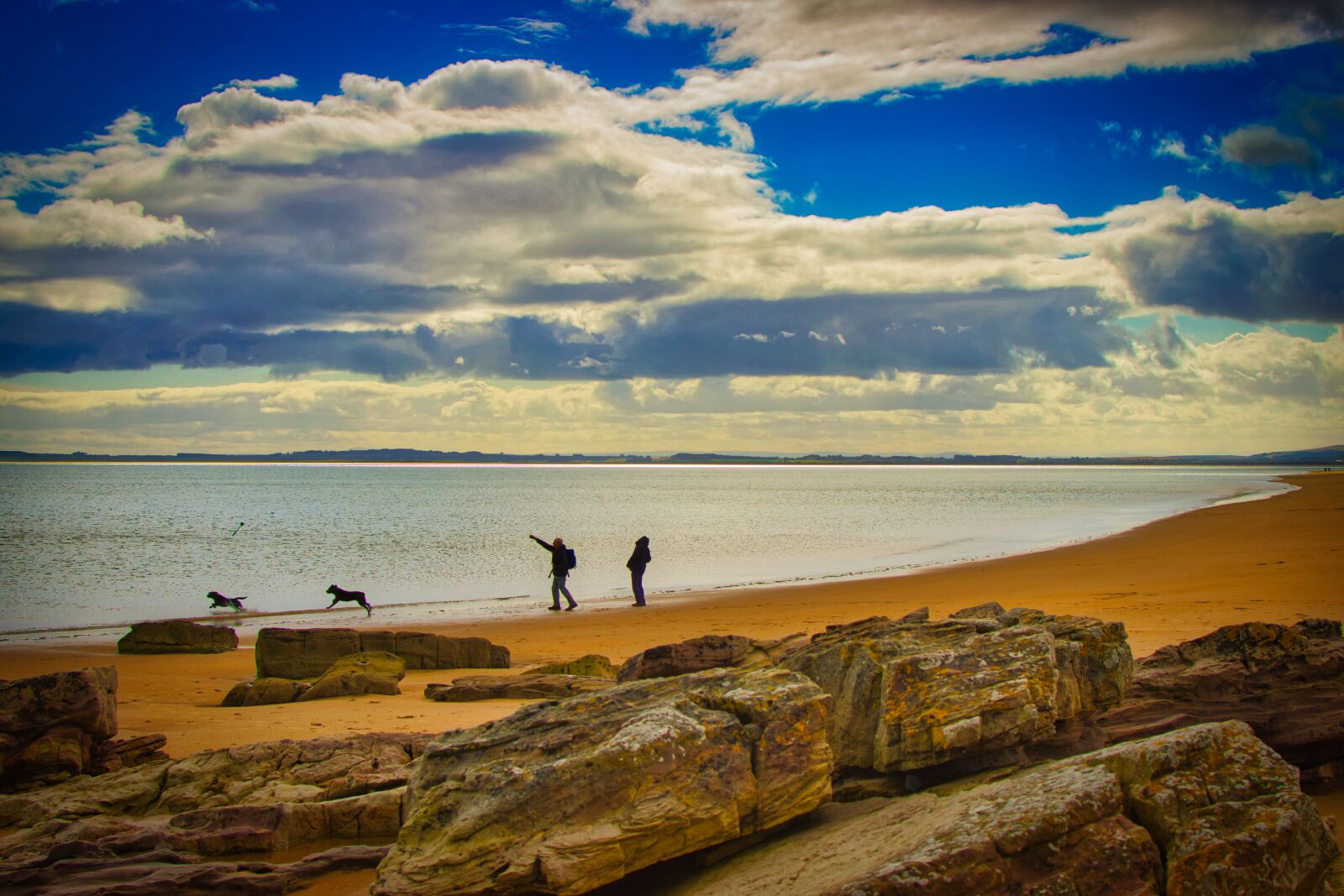 Nikon D5300 sample photo. Beach, dogs, play photography