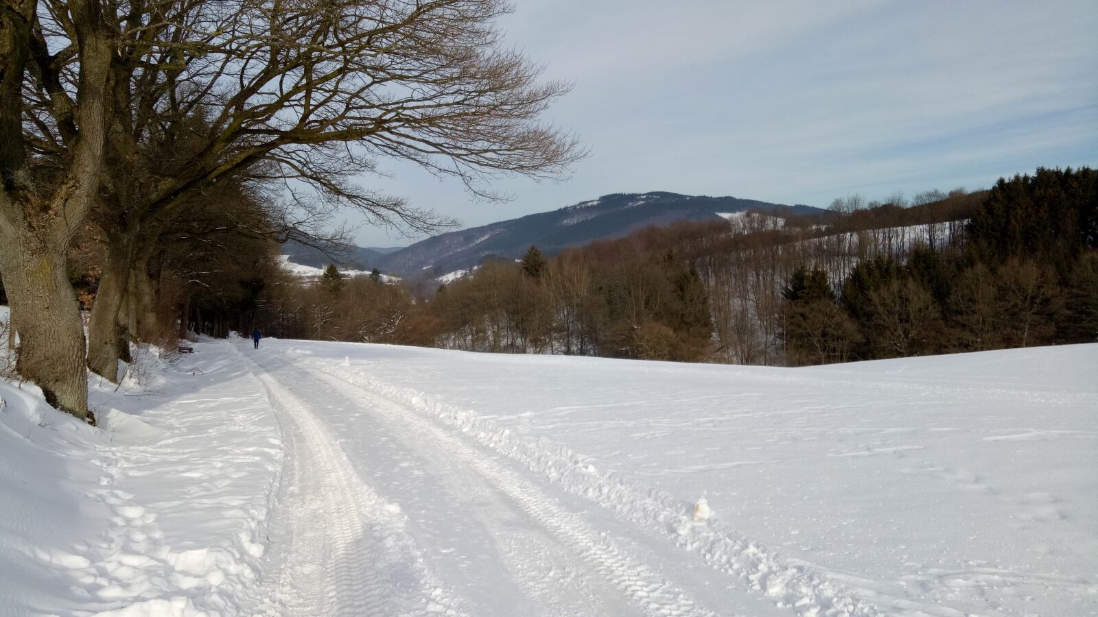 OPPO A1601 sample photo. Snow landscape, winter scene photography
