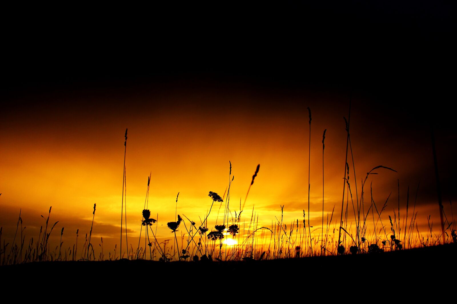 Canon EOS 600D (Rebel EOS T3i / EOS Kiss X5) sample photo. Sunset, sky, meadow photography