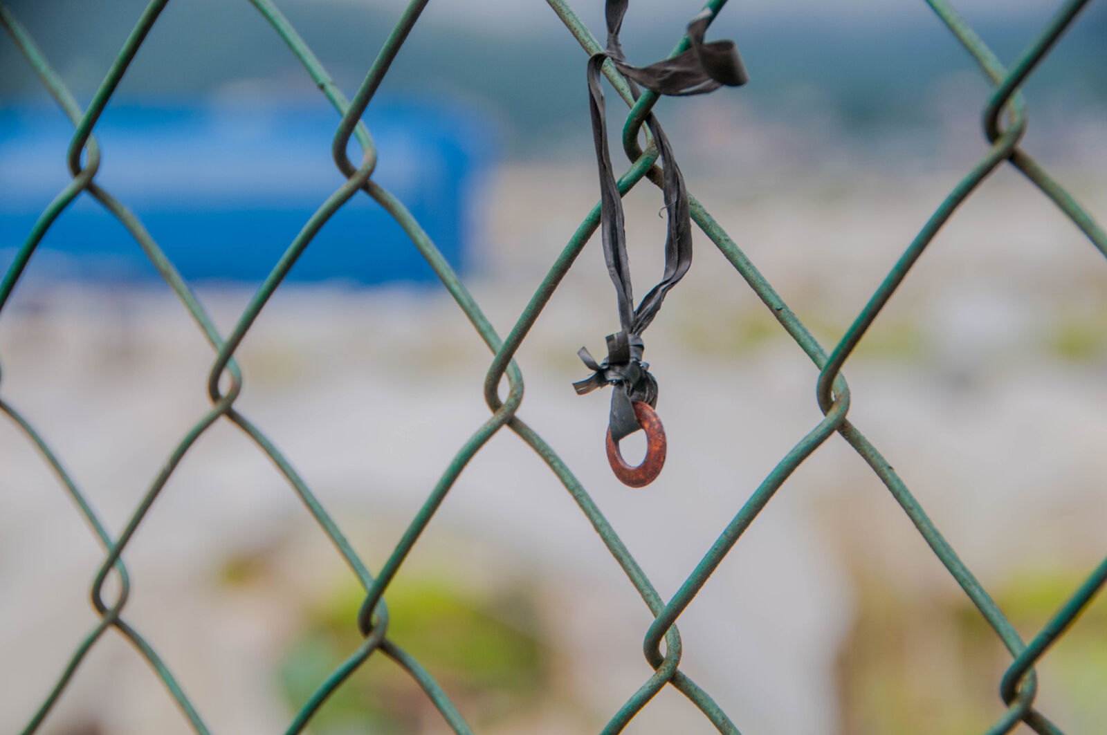 Nikon D300 sample photo. Barb, wires, barbed, wire photography