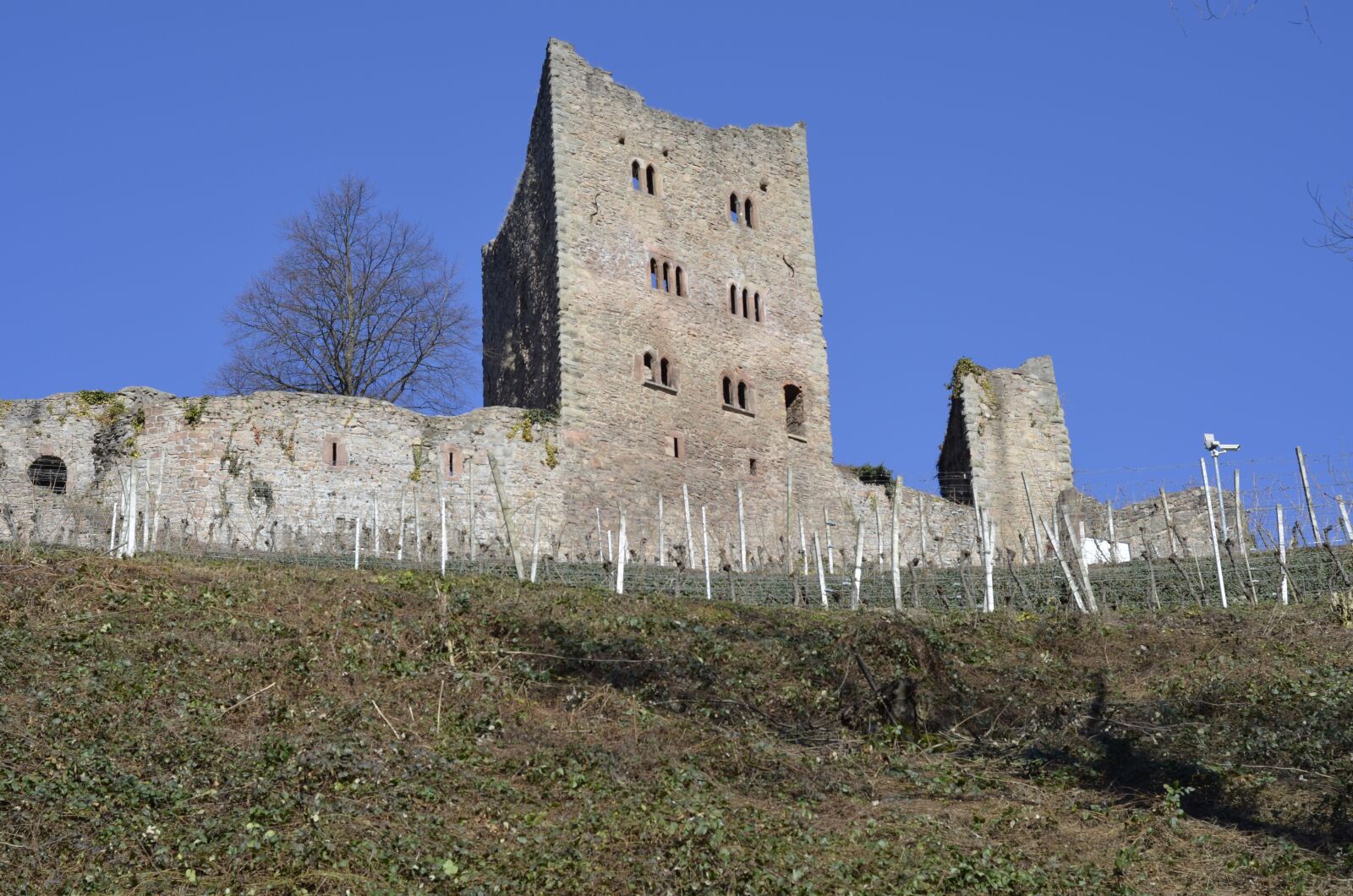 Nikon D5100 sample photo. Castle schauenburg, castle ruins photography