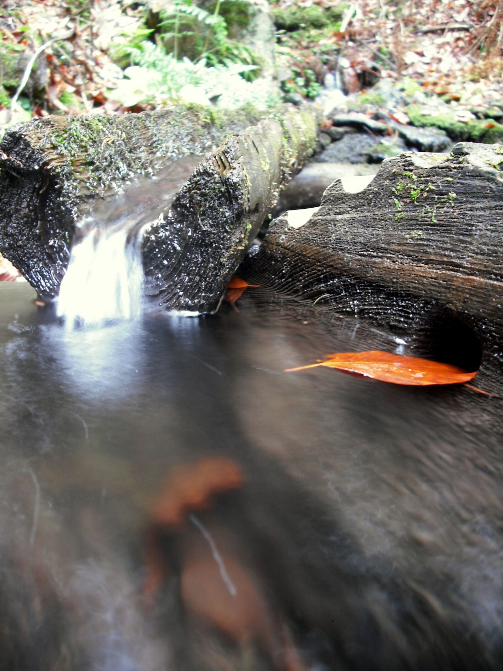 Fujifilm FinePix J10 sample photo. Water, spring, flows photography