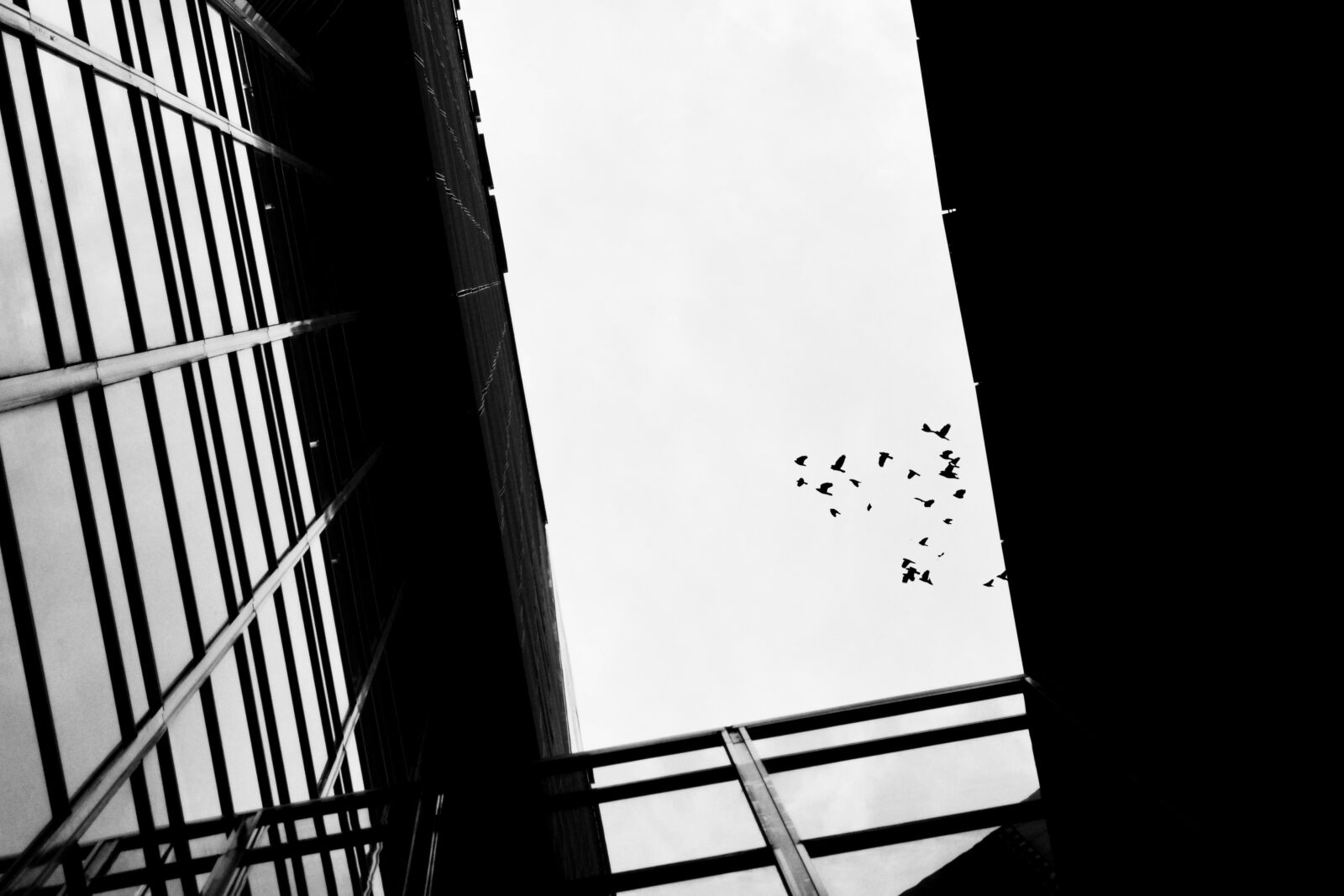 Nikon D5100 sample photo. Architecture, window, glass items photography