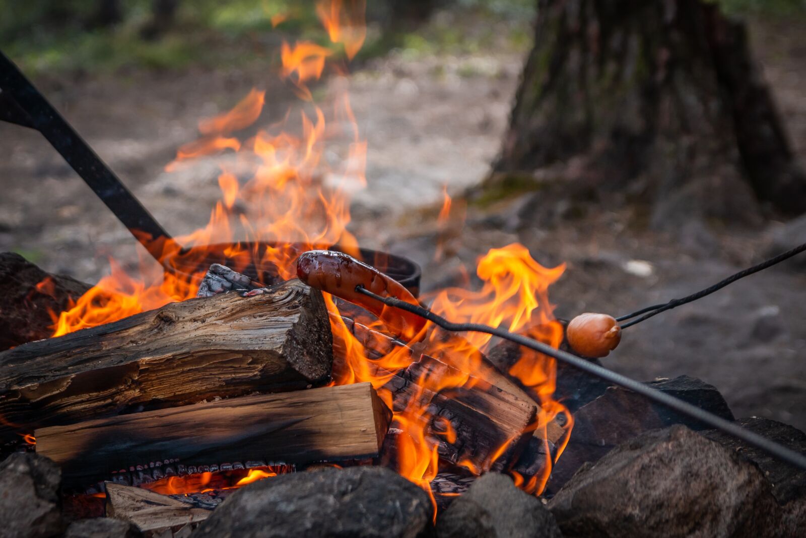 Canon EOS 70D sample photo. Campfire, finland, lapland photography