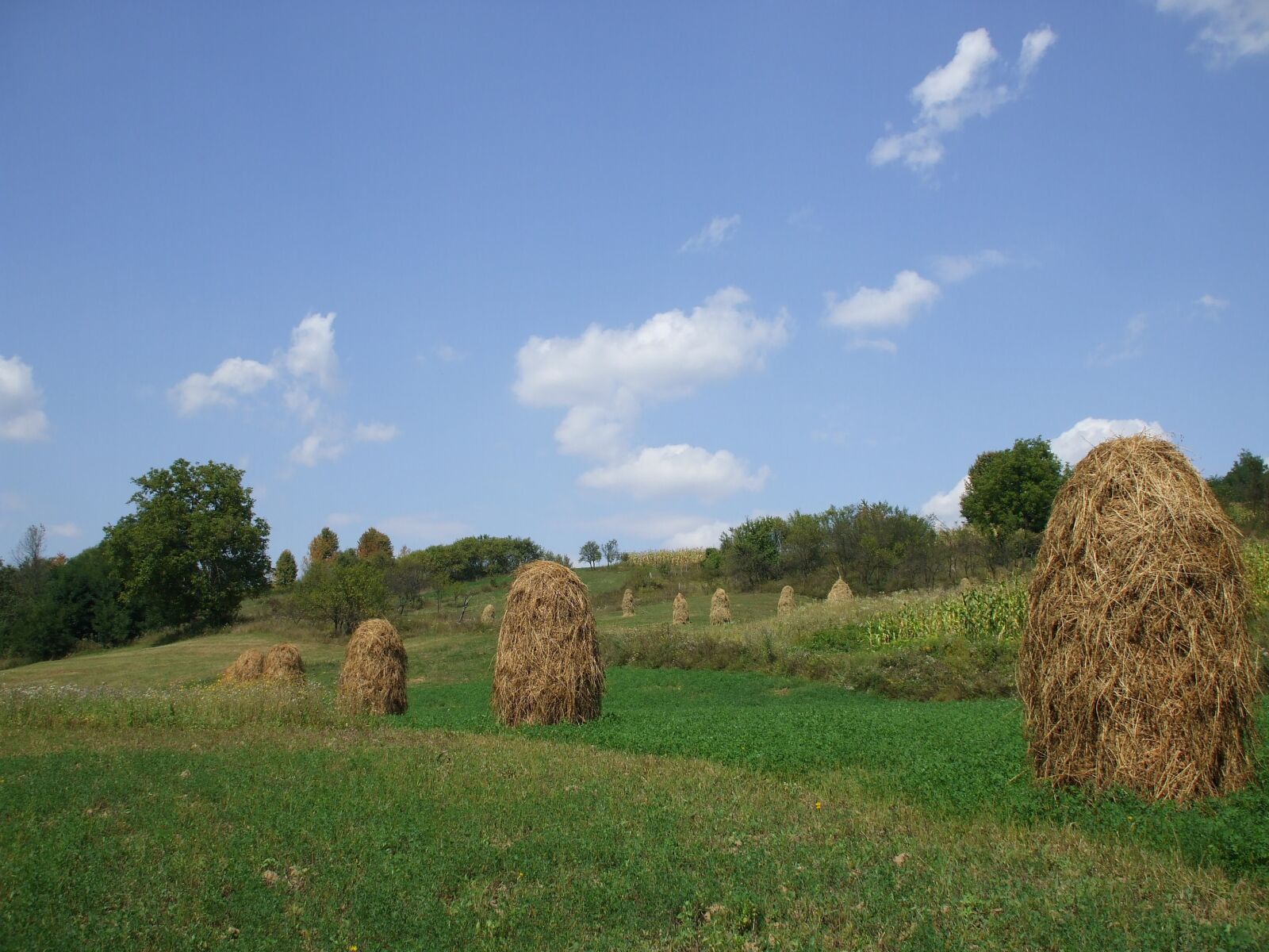 Fujifilm FinePix A800 sample photo. Farmland, haystacks, countryside photography
