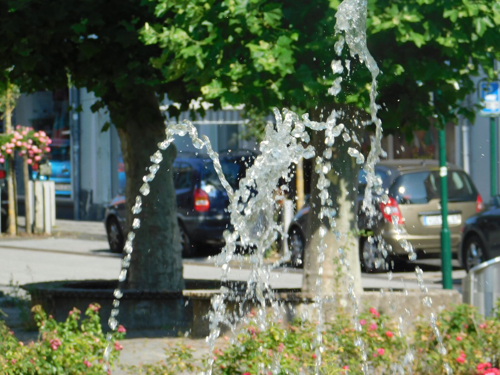 Nikon Coolpix B500 sample photo. Fountain, rose garden, water photography