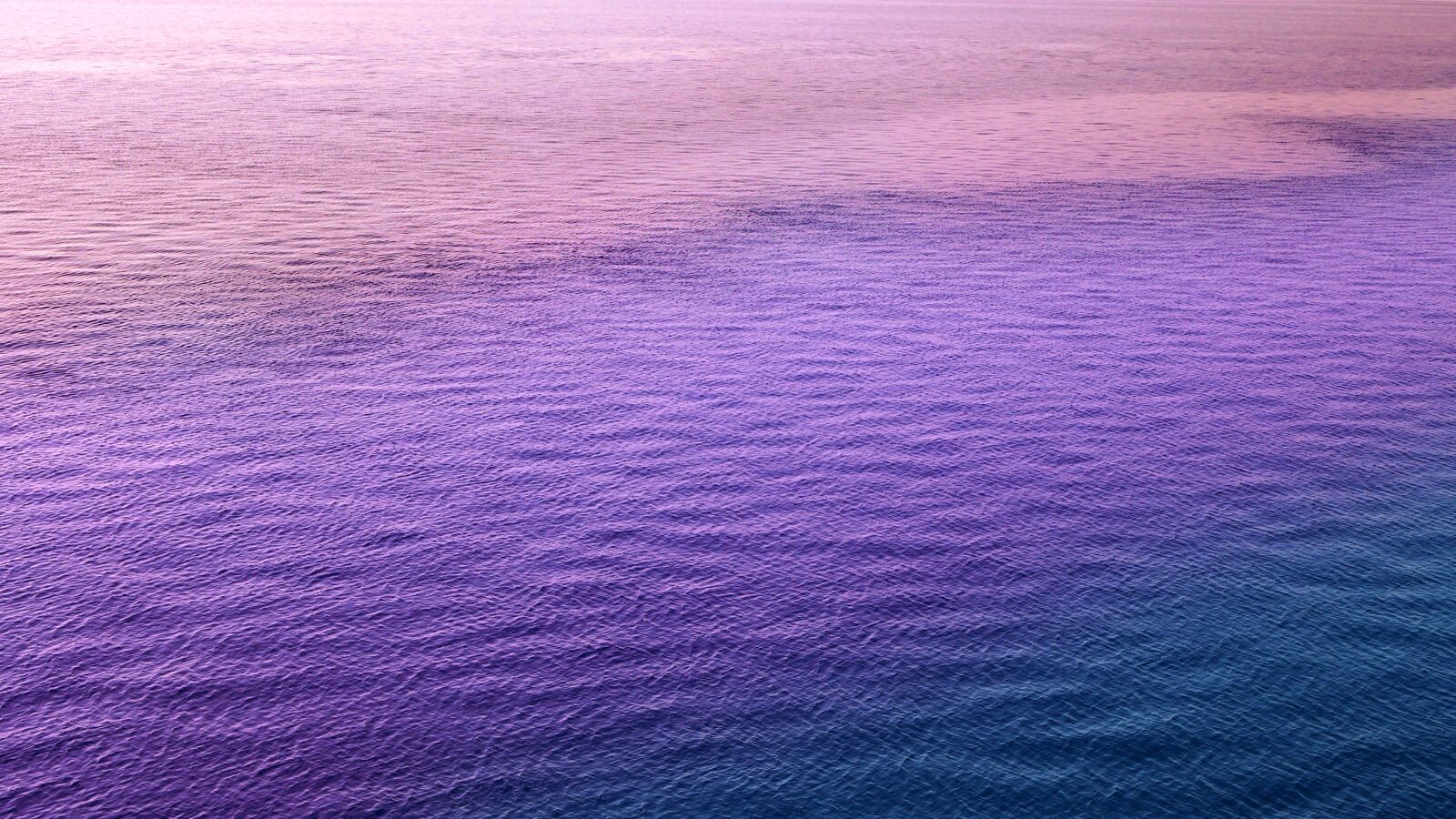 Panasonic Lumix DMC-GX85 (Lumix DMC-GX80 / Lumix DMC-GX7 Mark II) sample photo. Wallpaper, pink, purple photography
