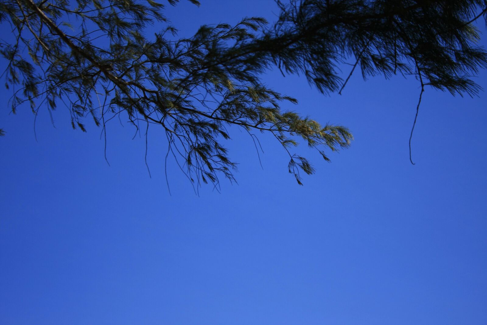 Canon EOS 40D sample photo. Sky, blue, dark photography