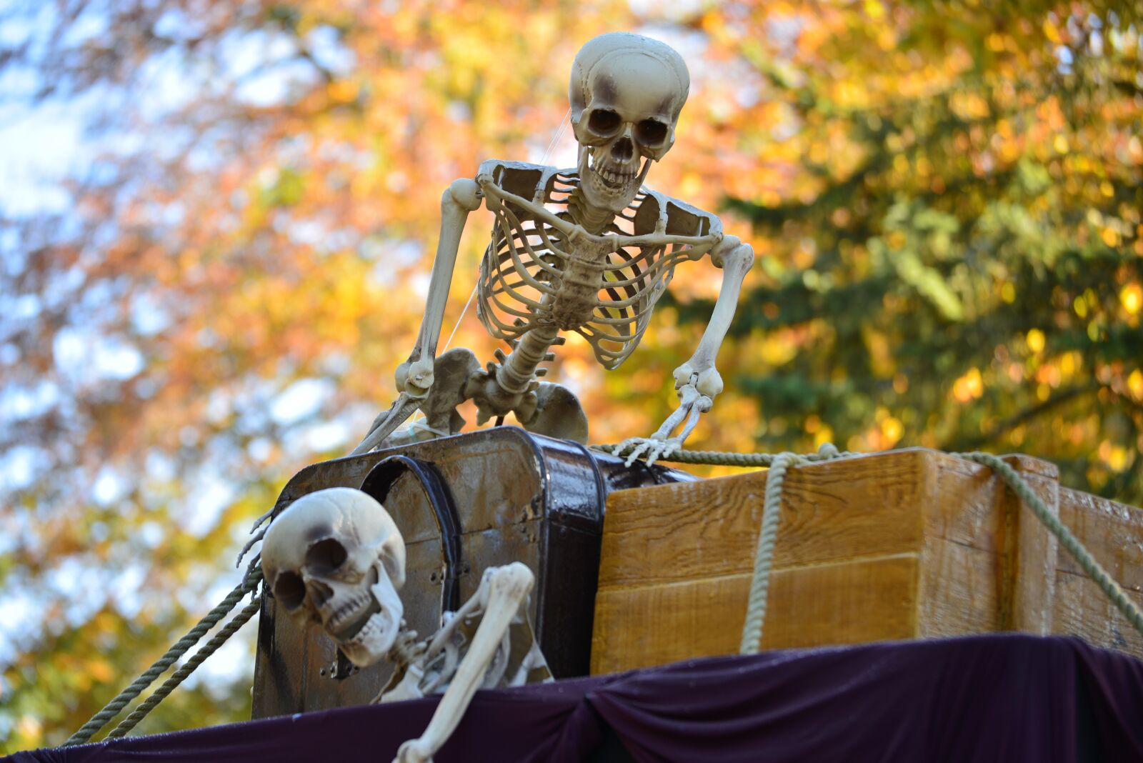 Nikon D610 sample photo. Halloween, skeleton, death photography
