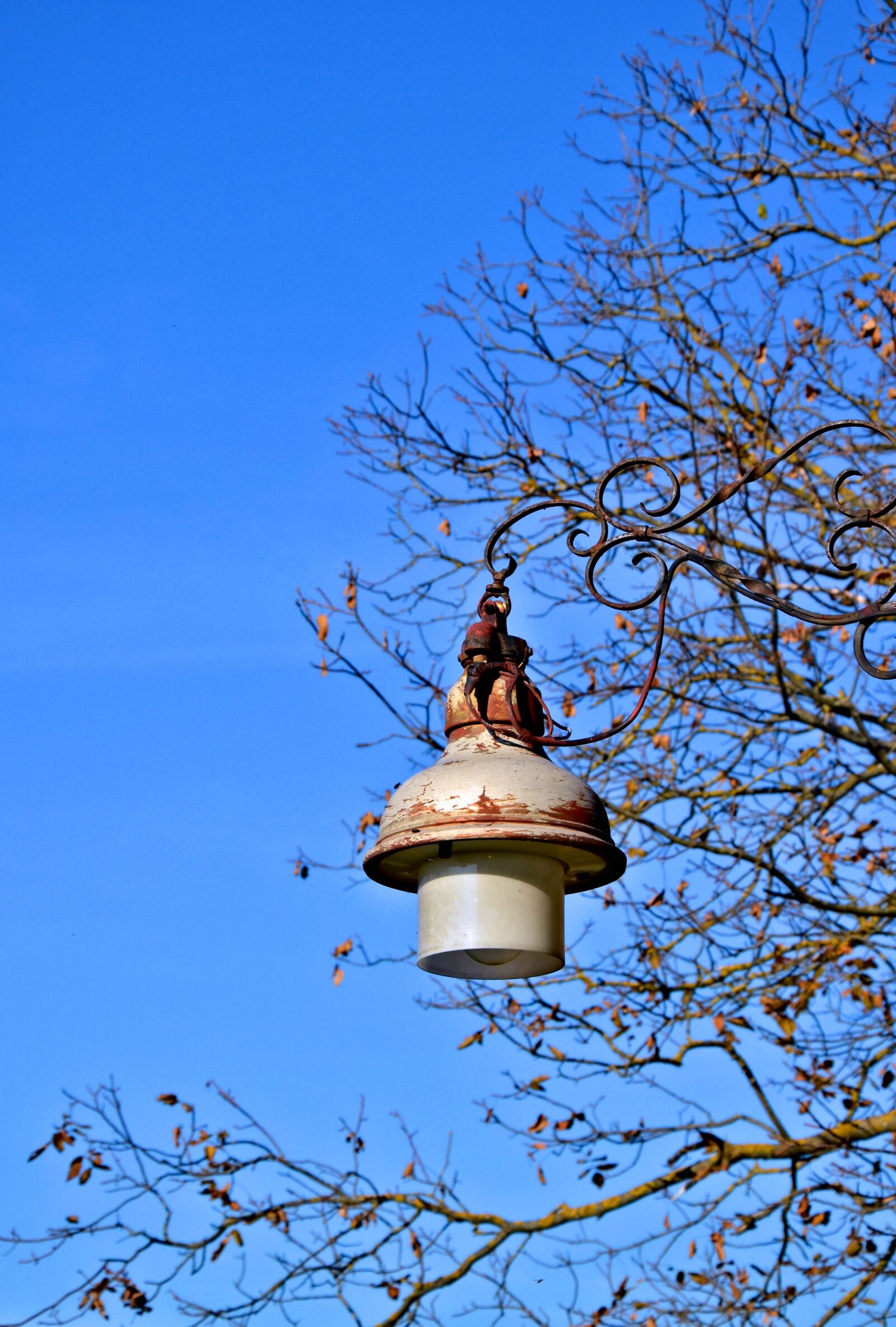 Nikon D5100 sample photo. Autumn, sky, lamp photography