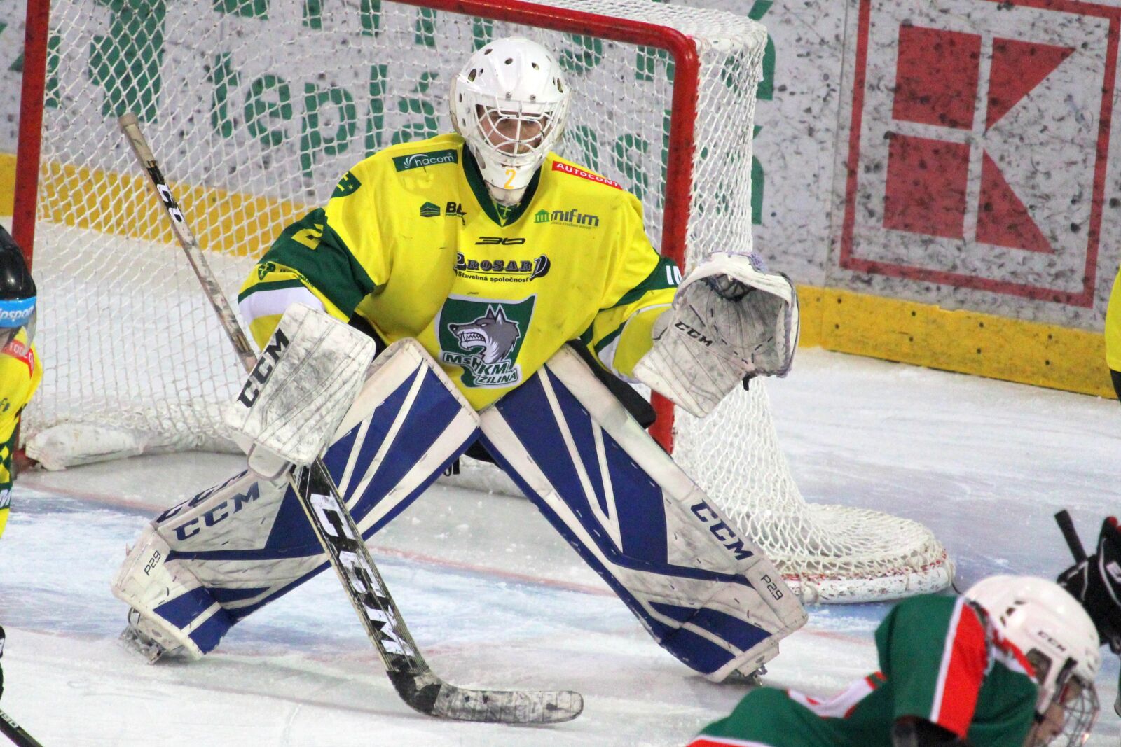 Canon EF-S 55-250mm F4-5.6 IS STM sample photo. Hockey, goalkeeper, sports photography