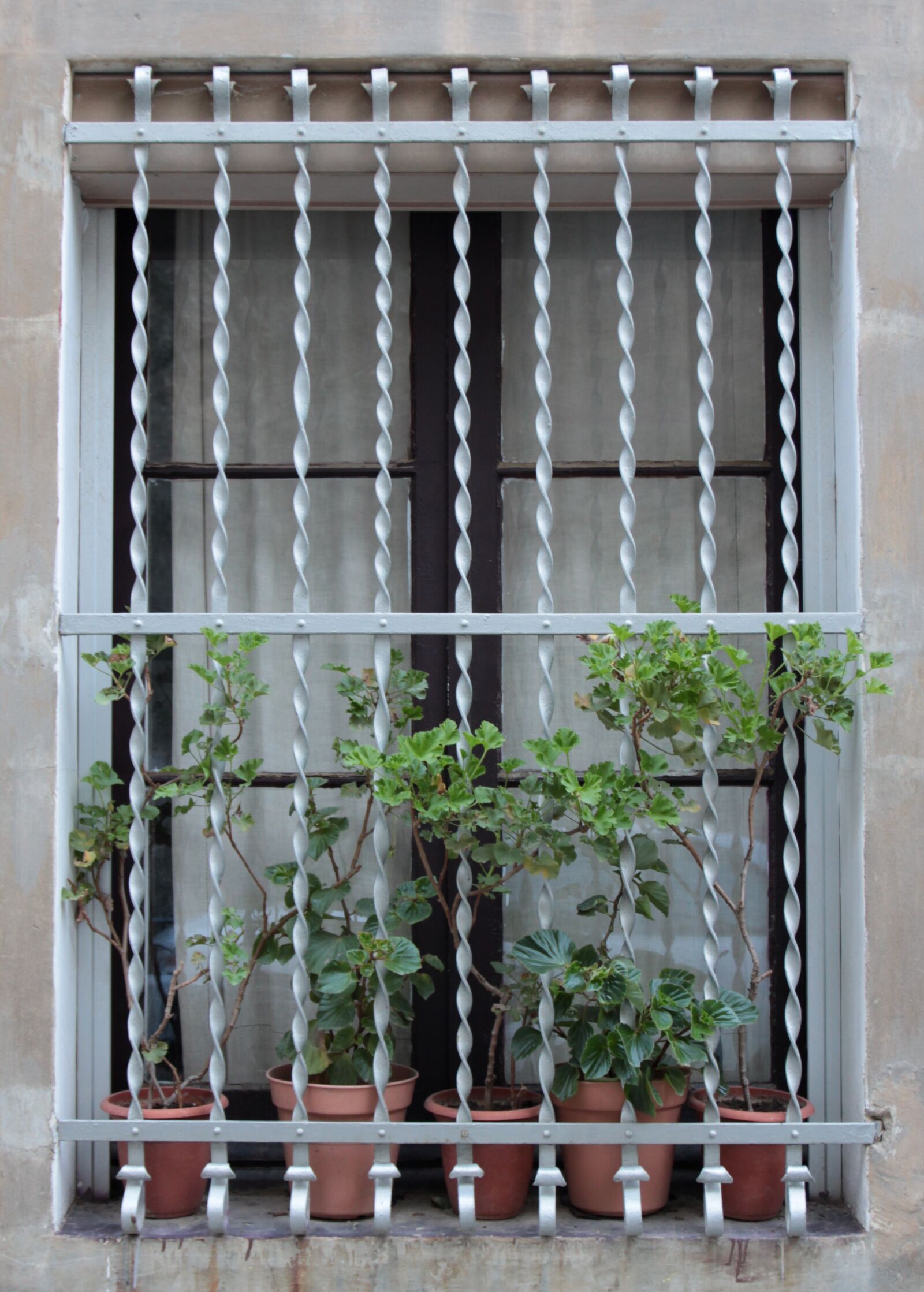 Canon EOS 700D (EOS Rebel T5i / EOS Kiss X7i) sample photo. Window, decorative, design photography