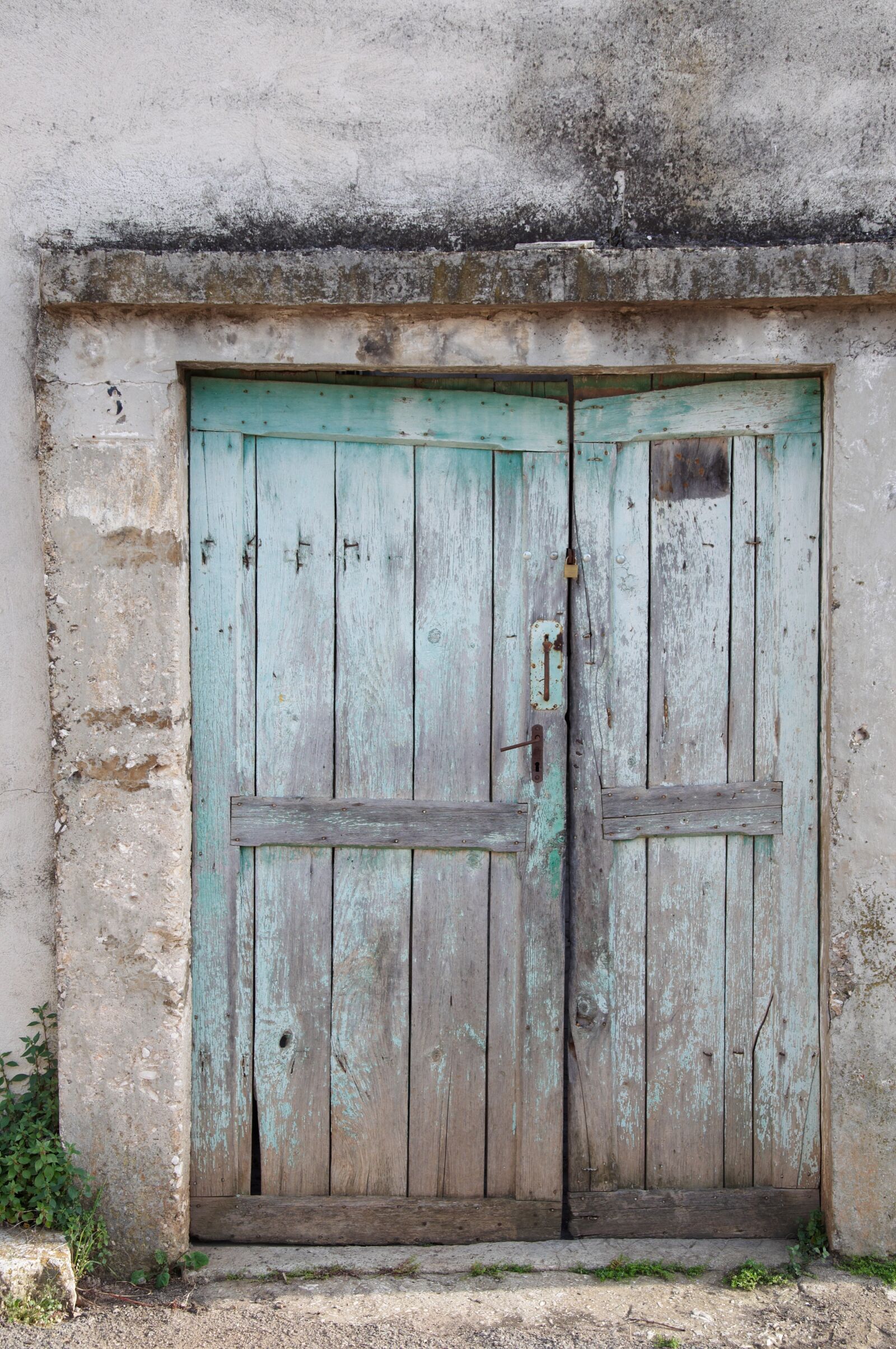 Nikon D90 sample photo. Close, up, of, closed photography