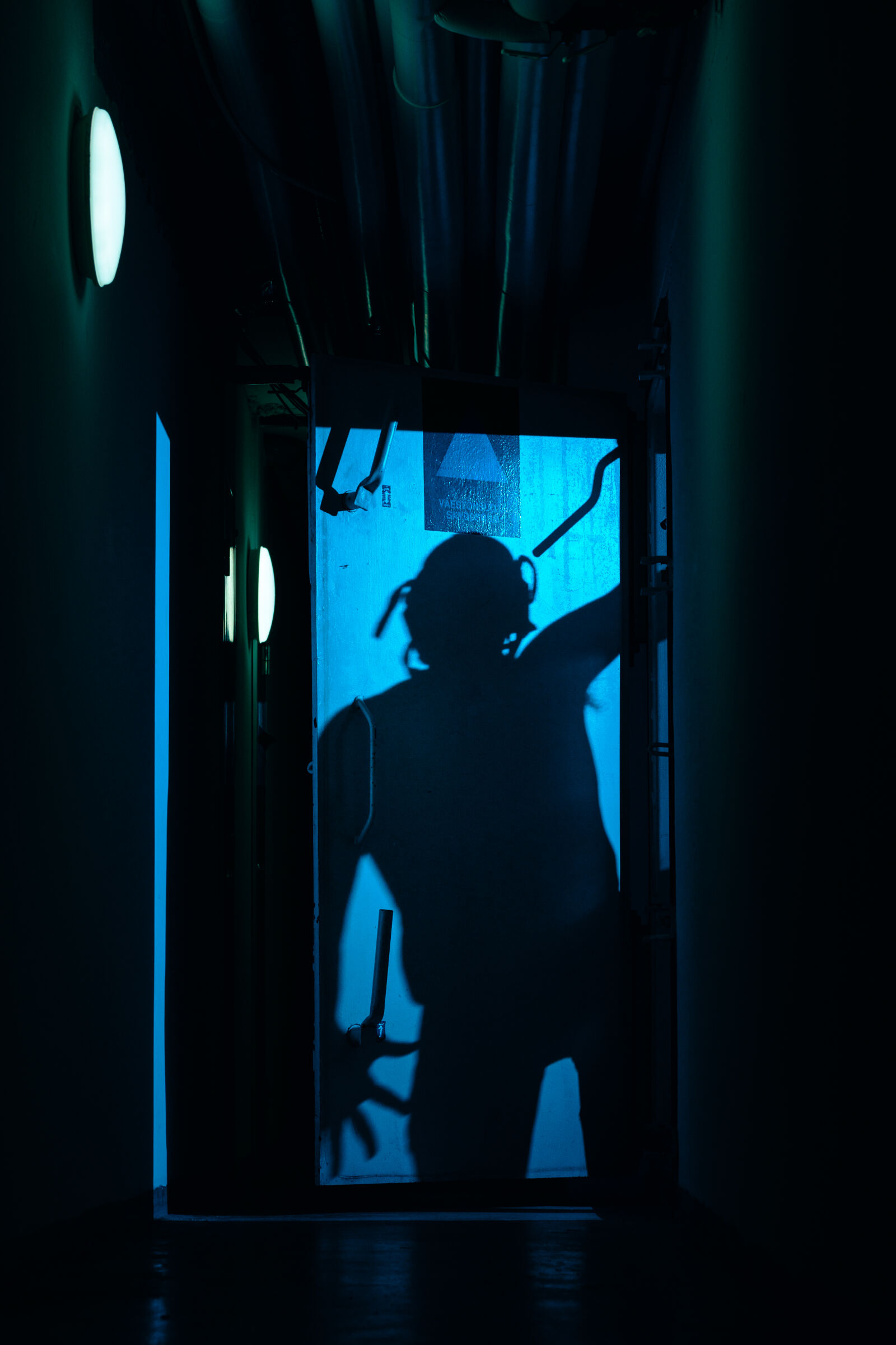 Sigma 56mm F1.4 DC DN | C sample photo. Horror basement photography