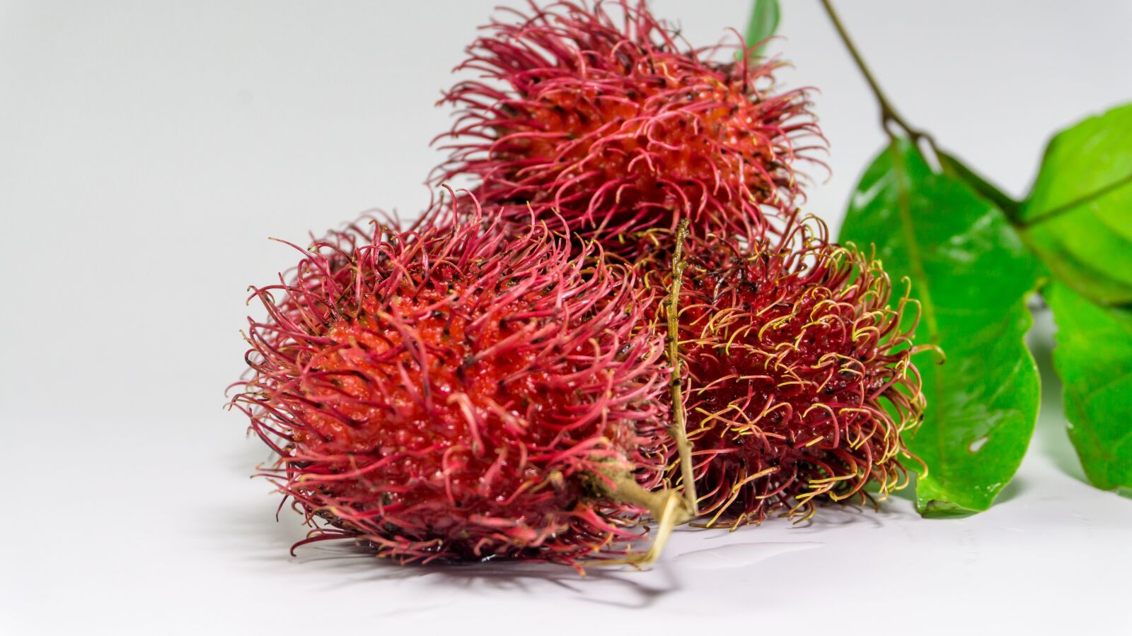 Sony a5100 sample photo. Rambutan, fruit, background photography