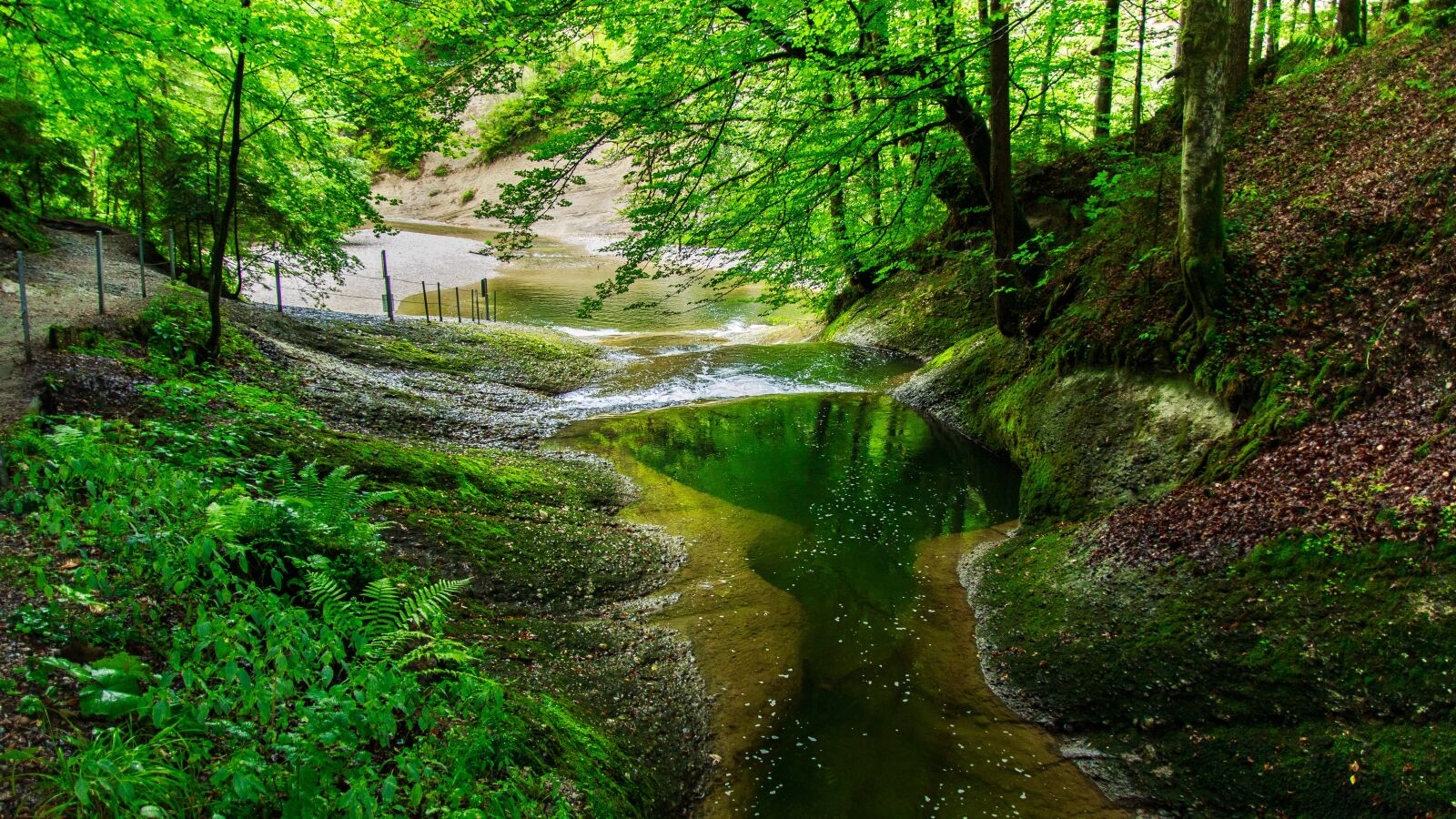 Canon EOS 650D (EOS Rebel T4i / EOS Kiss X6i) sample photo. Creek, rock, river photography
