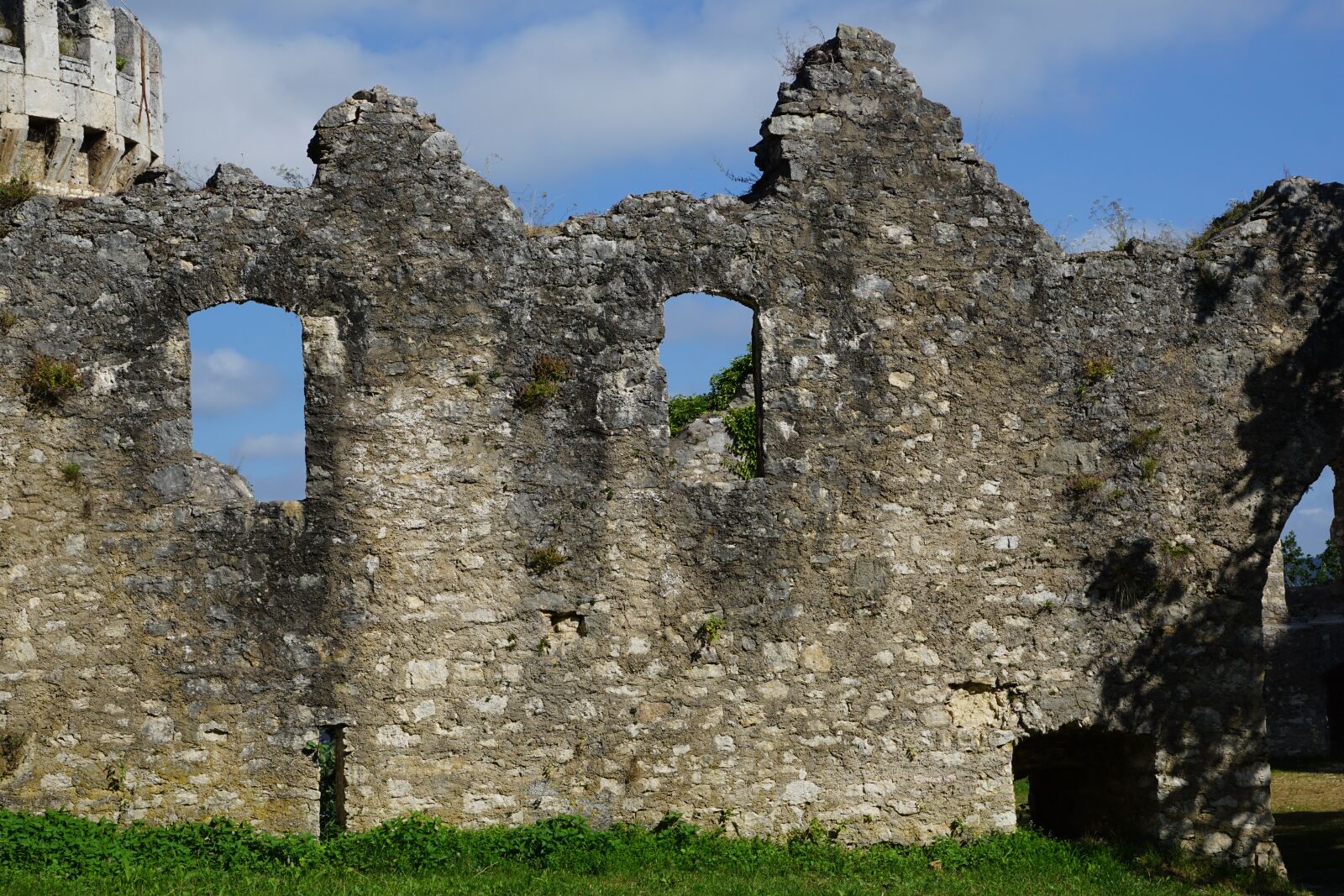 Sony DT 16-50mm F2.8 SSM sample photo. Castle, ruin, tuttlingen photography