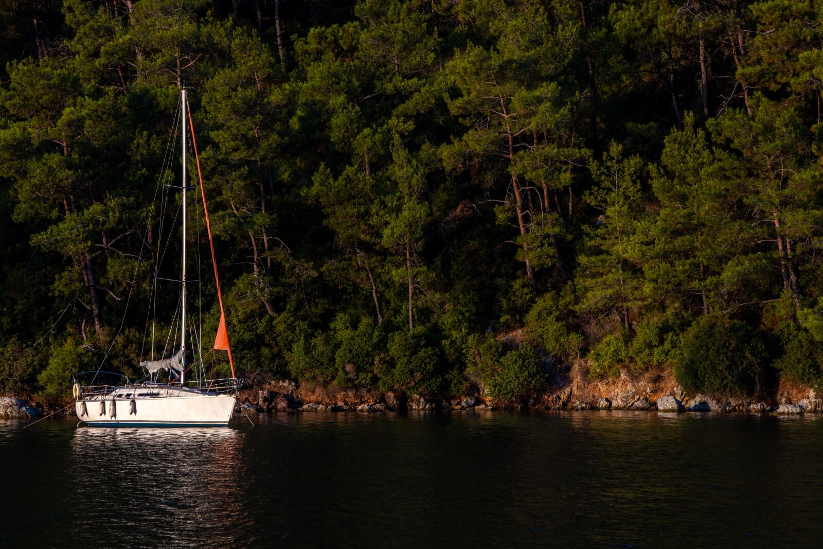 Canon EOS 250D (EOS Rebel SL3 / EOS Kiss X10 / EOS 200D II) sample photo. Sailboat, lake, dock photography