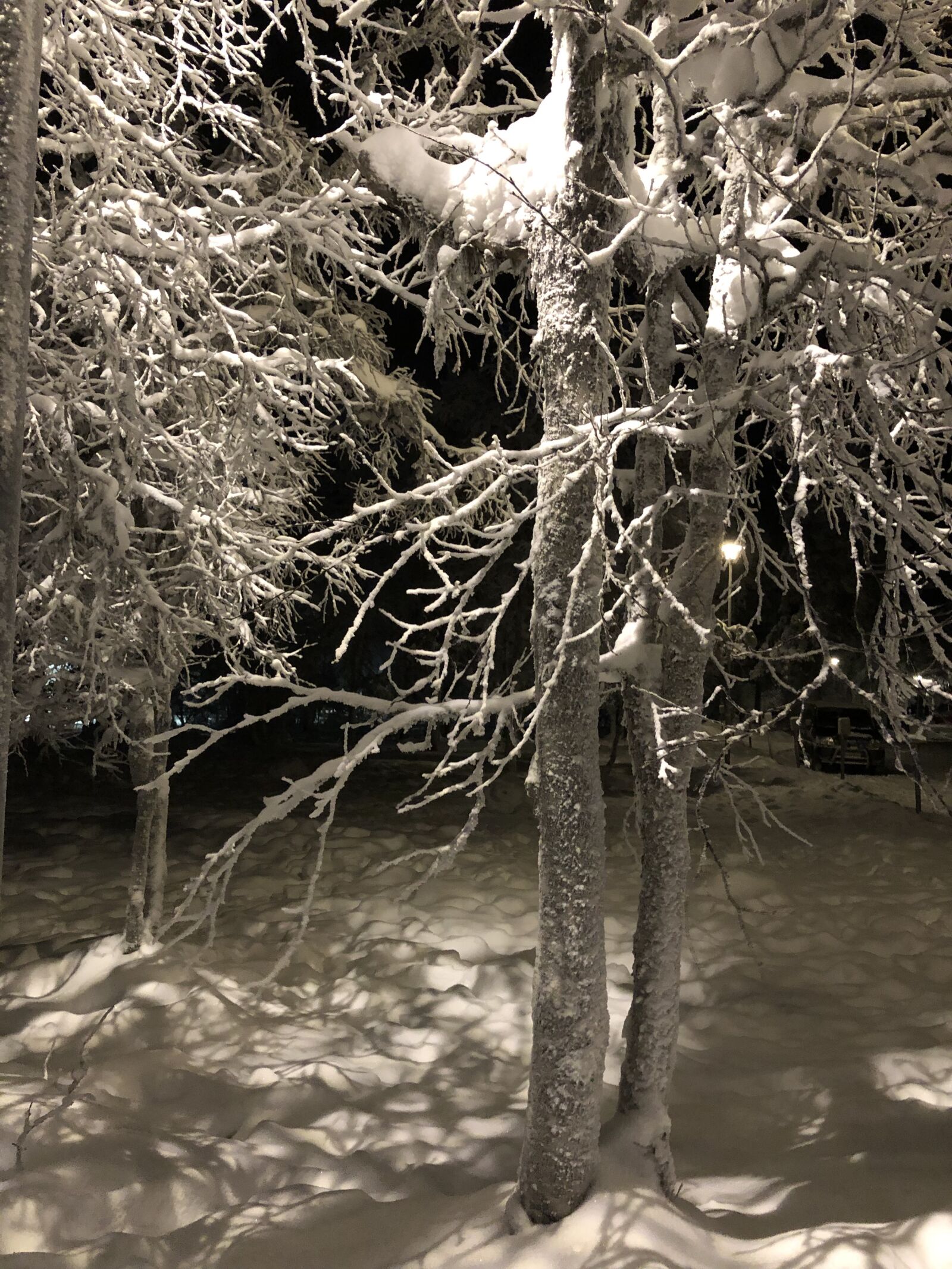 iPhone 8 Plus back dual camera 3.99mm f/1.8 sample photo. Finnish, lapland, winter photography