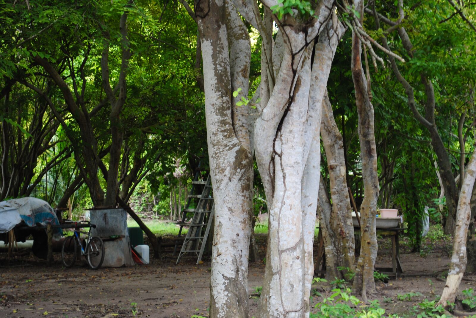 Nikon D3000 sample photo. Landscape, natural, san andr photography