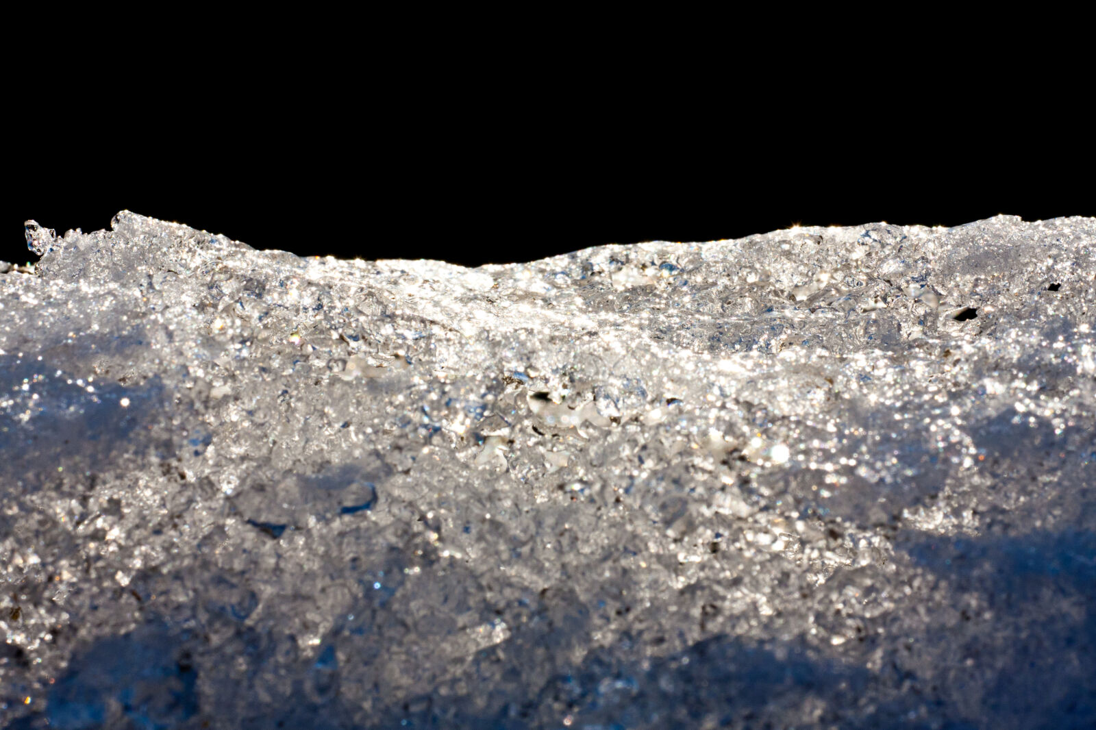 Canon EF 180mm F3.5L Macro USM sample photo