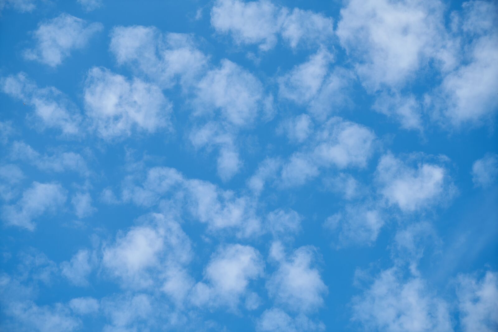 Sony a7R II + Sony Vario Tessar T* FE 24-70mm F4 ZA OSS sample photo. Sky, air, atmosphere photography