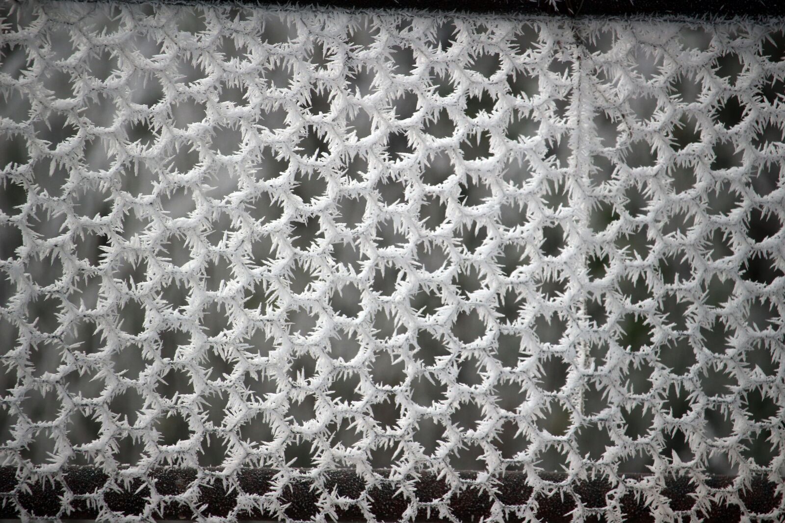 Canon EOS 100D (EOS Rebel SL1 / EOS Kiss X7) sample photo. Eiskristalle, frost, grid photography