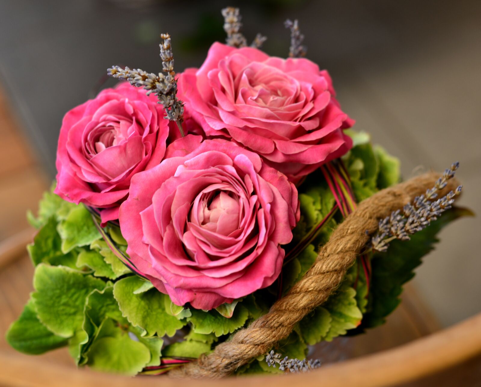 Nikon D600 sample photo. Roses, pink, flowers photography