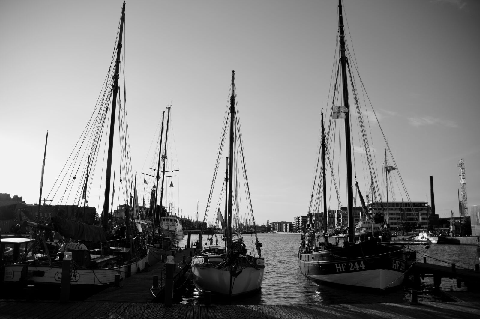 Nikon D3200 sample photo. Black and white, white photography