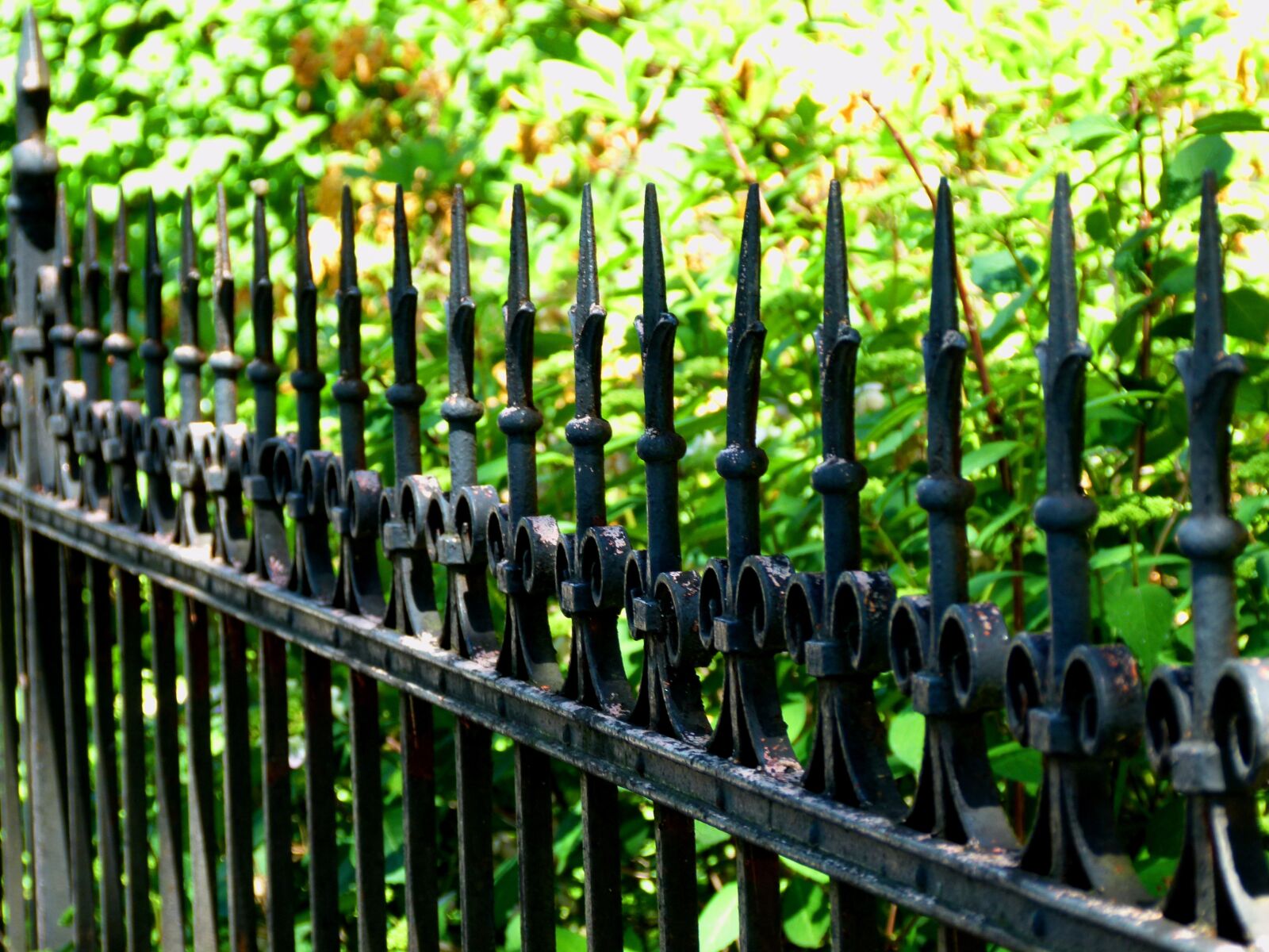 Panasonic Lumix DMC-FZ100 sample photo. Nature, fence, mood photography