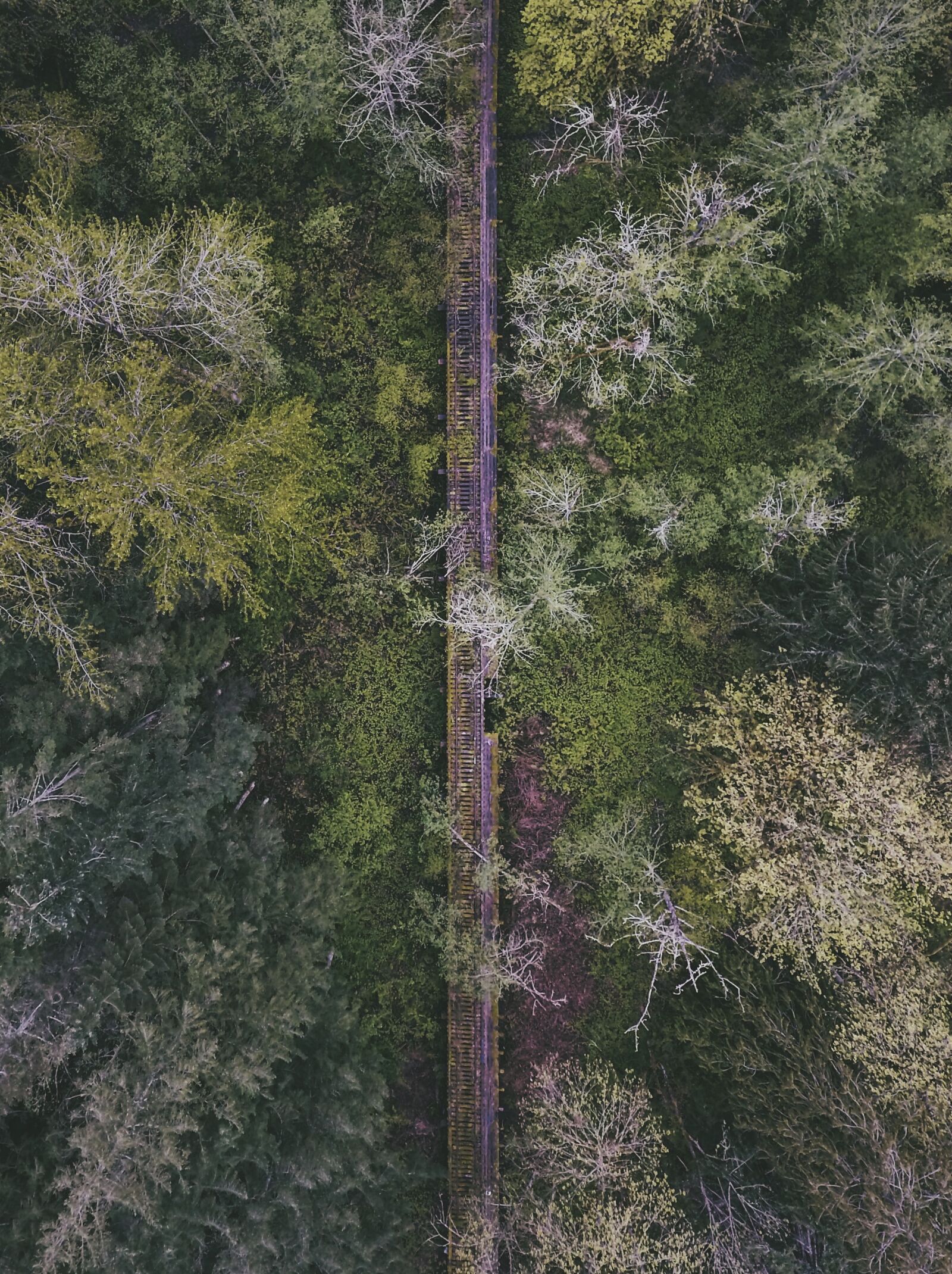 DJI FC330 sample photo. Abandoned, aerial, bridge, forest photography