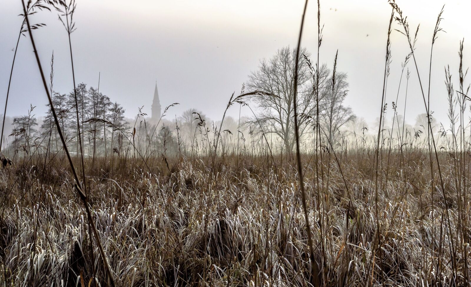 Nikon D3200 sample photo. Landscape, steeple, twilight photography