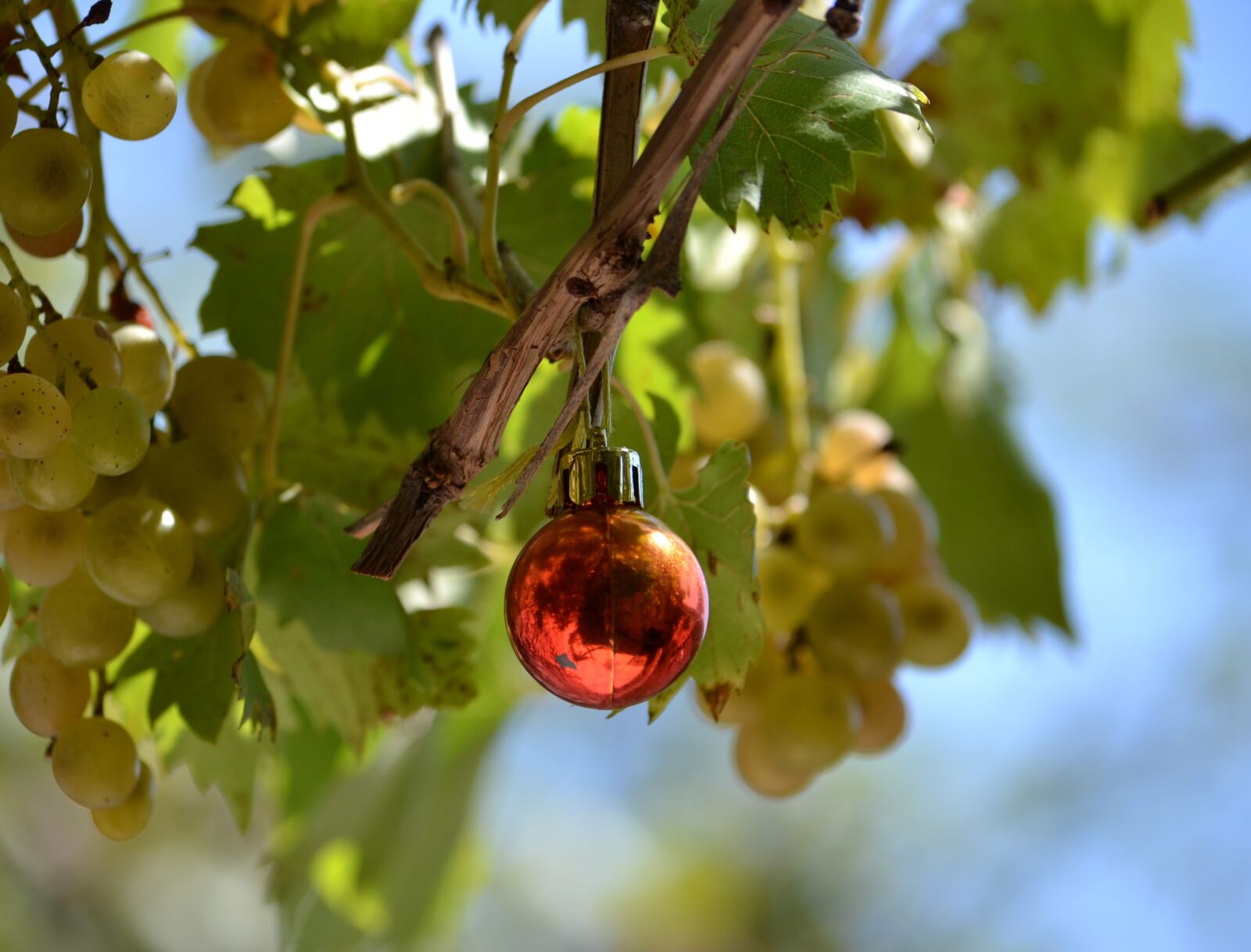 Nikon D3100 sample photo. Christmas, julekugle, decoration photography