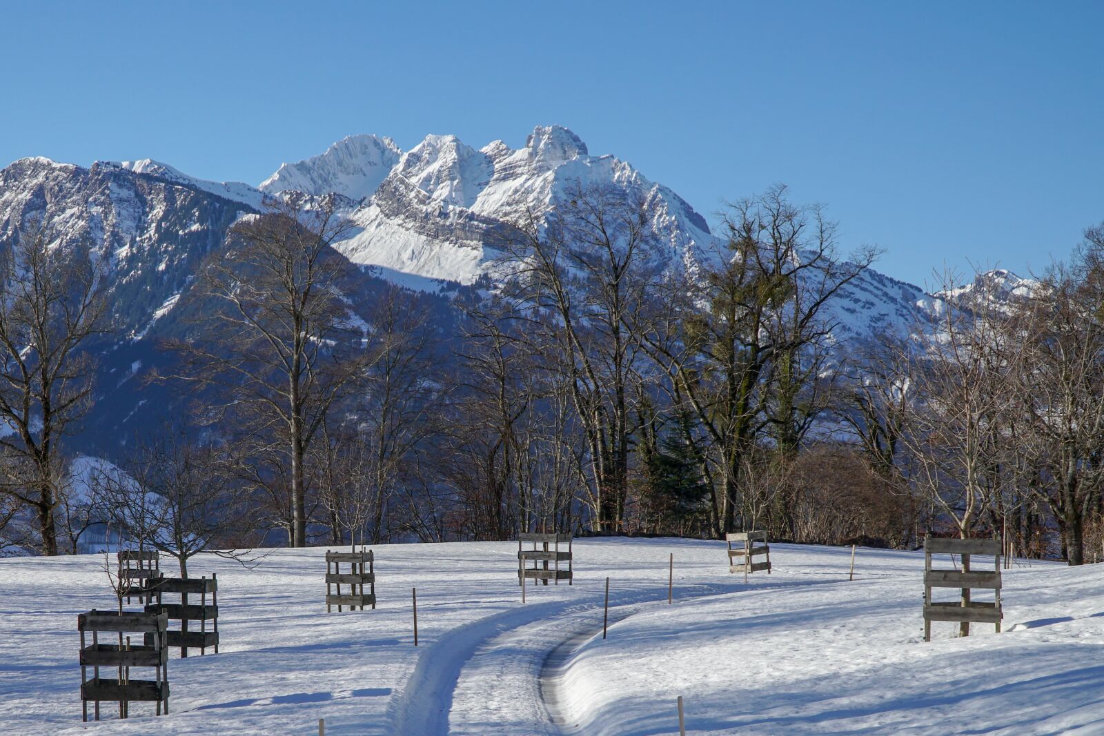 Sony E PZ 18-105mm F4 G OSS sample photo. Snow, winter, nature photography