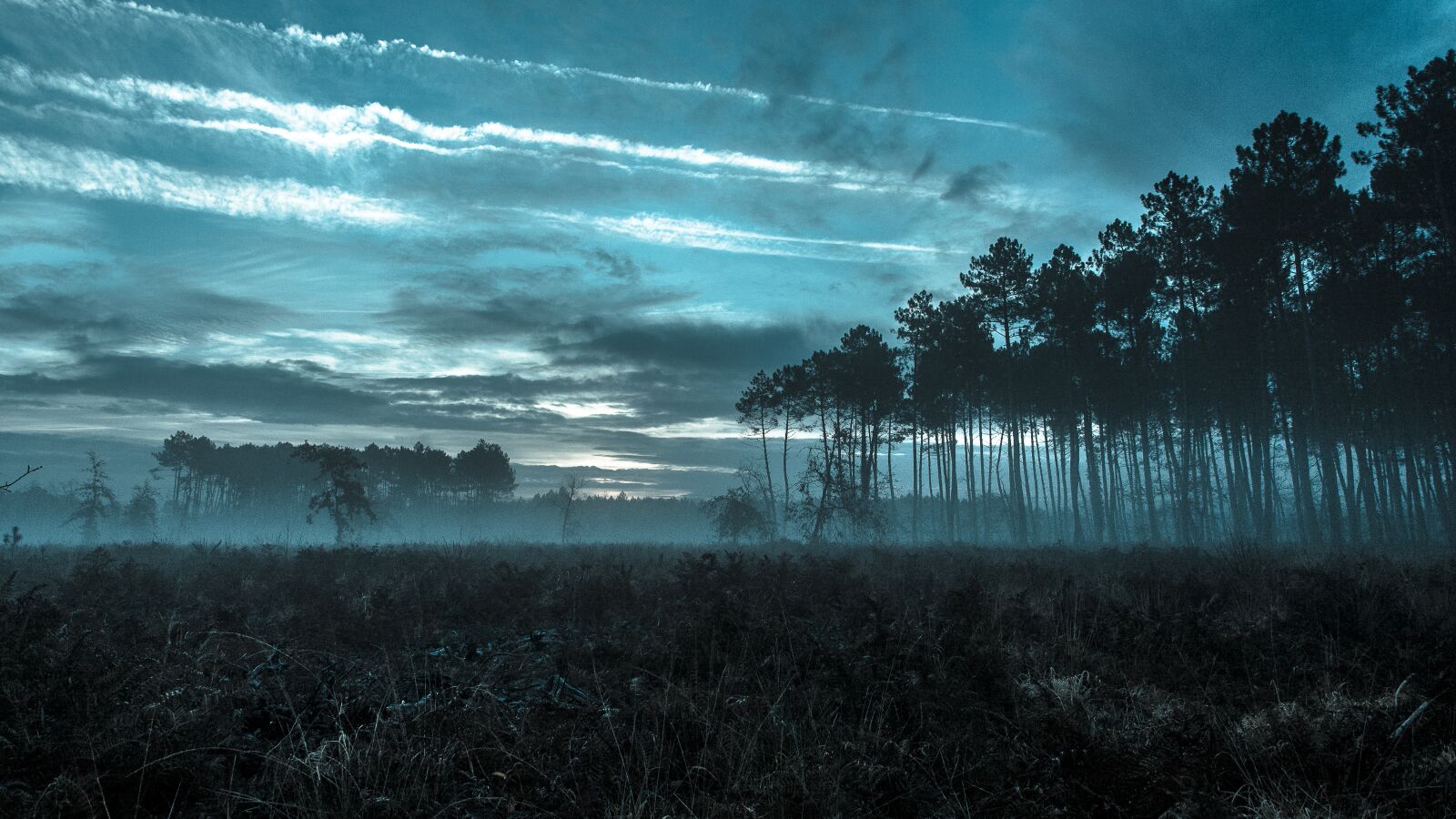 Nikon D7100 sample photo. Basin of arcachon, sky photography