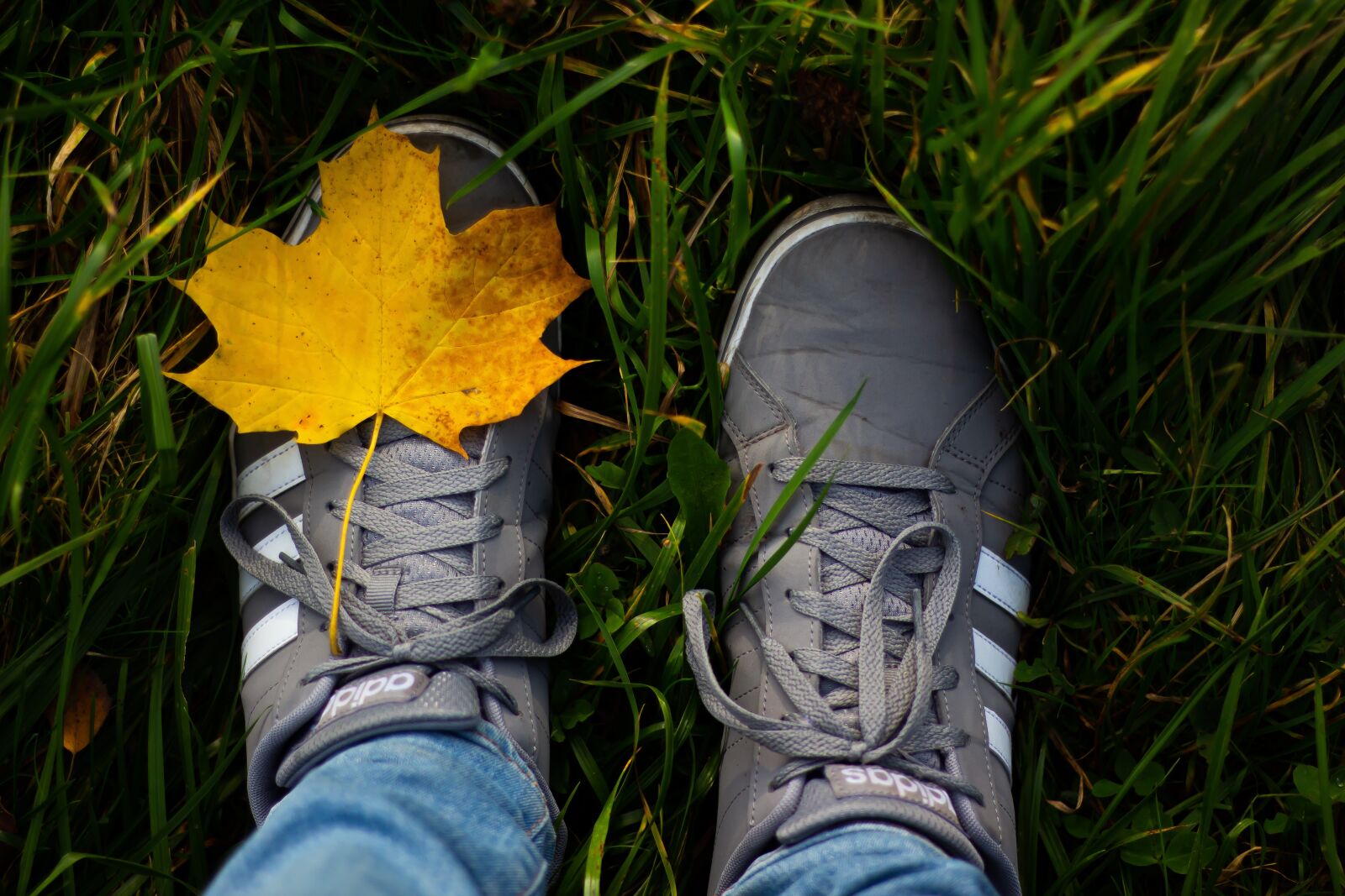 Canon EOS 700D (EOS Rebel T5i / EOS Kiss X7i) + Canon EF 50mm F1.8 STM sample photo. Shoes, rush, ground photography