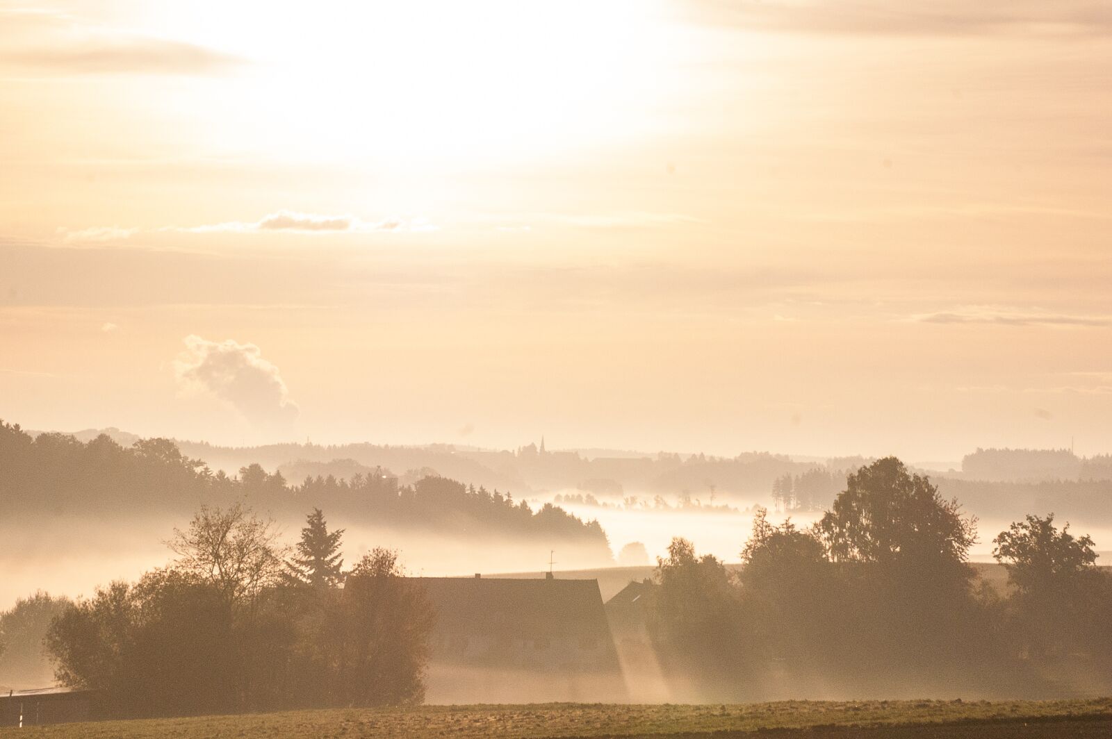 Nikon D40 sample photo. Morning, sunrise, fog photography
