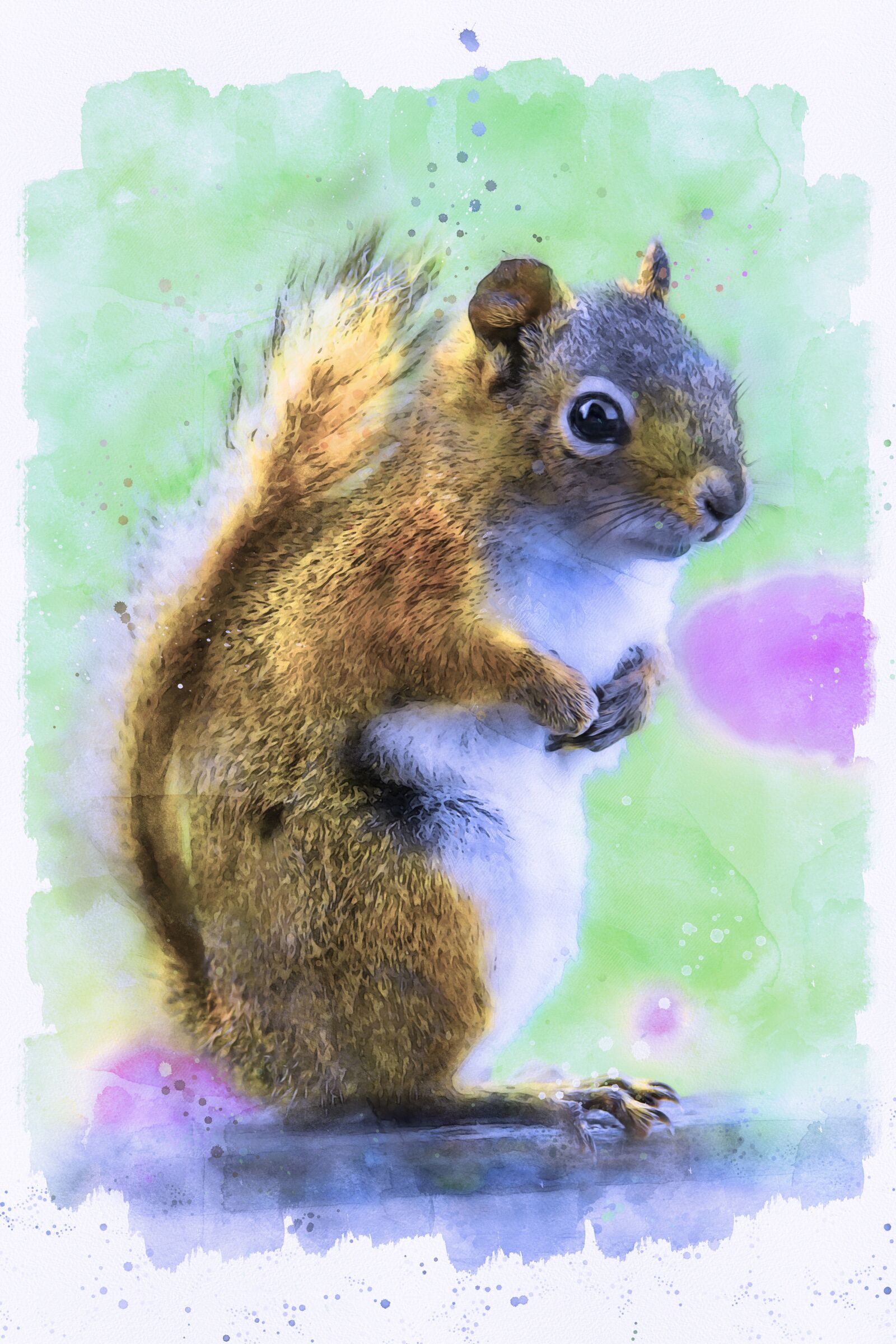 Nikon D3400 sample photo. Squirrel, nature, wildlife photography