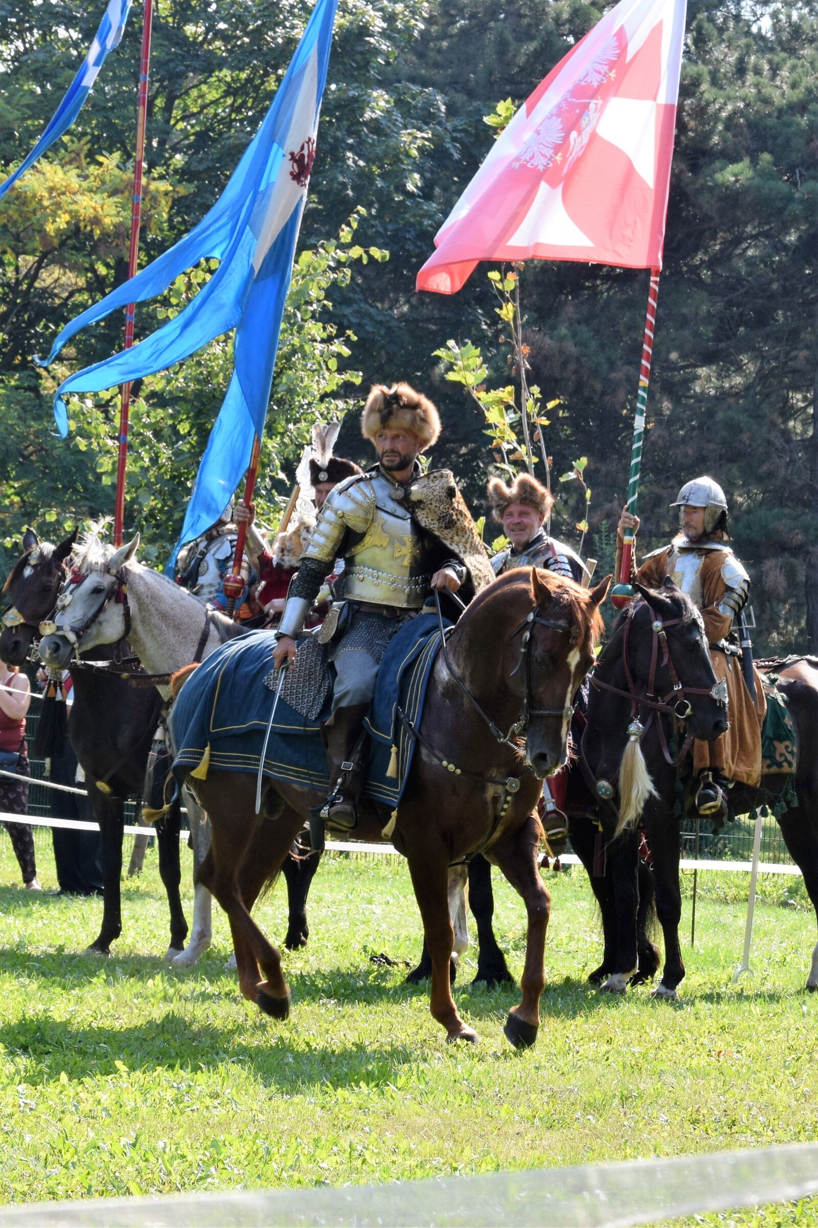 Nikon D3300 sample photo. Sommerfest, knight, attack photography