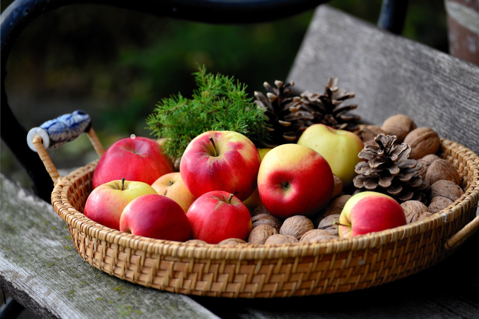 Nikon D610 sample photo. Apple, walnuts, fruit basket photography