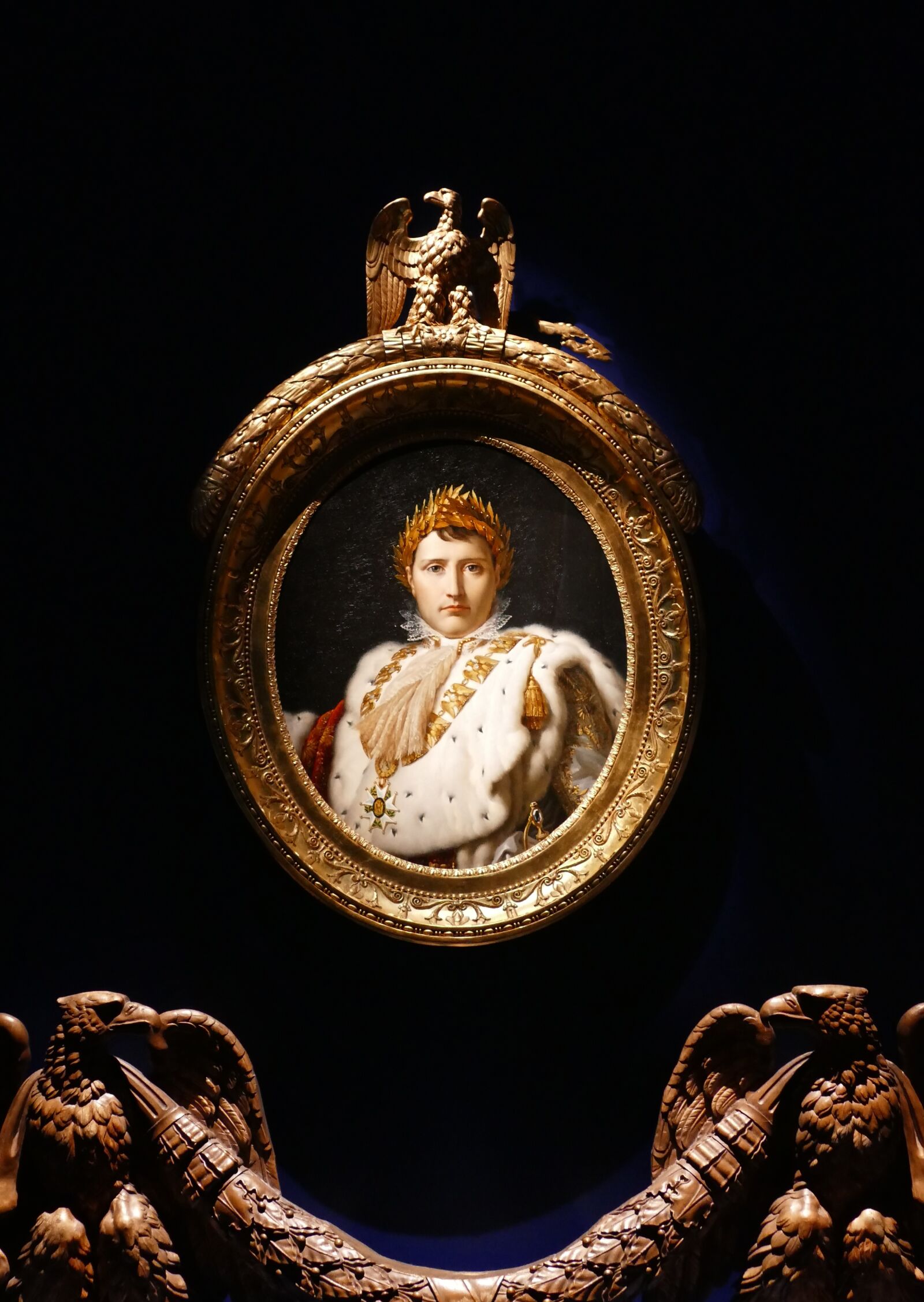 Panasonic Lumix DMC-FZ1000 sample photo. Painting, medallion, napoleon photography