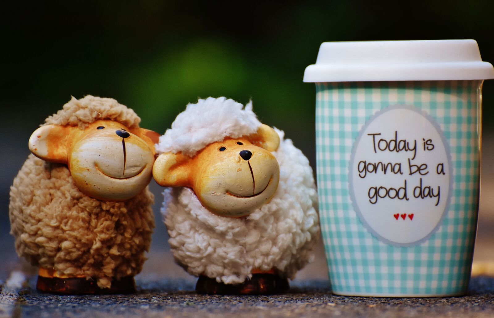 Nikon D7200 sample photo. Sheep, beautiful day, to photography