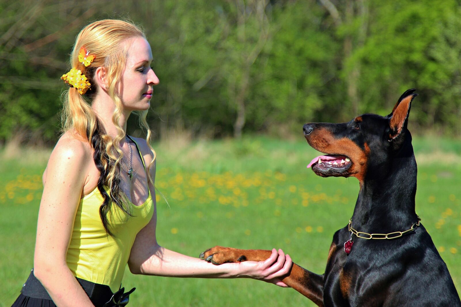 Canon EOS 600D (Rebel EOS T3i / EOS Kiss X5) + Canon EF 24-105mm F4L IS USM sample photo. Doberman, blonde woman, friendship photography