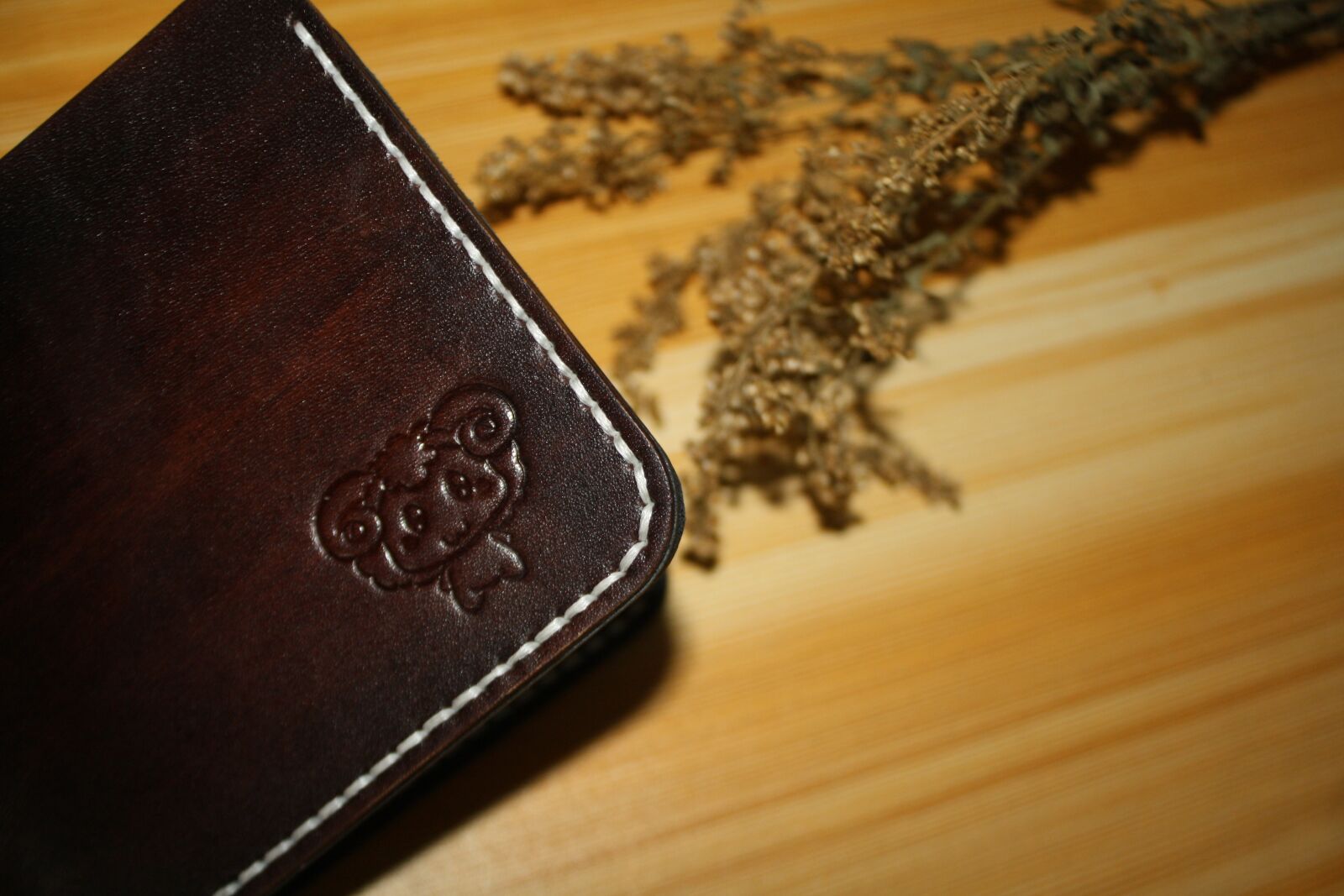 Canon EOS 1000D (EOS Digital Rebel XS / EOS Kiss F) sample photo. Manual, purse, cowhide photography