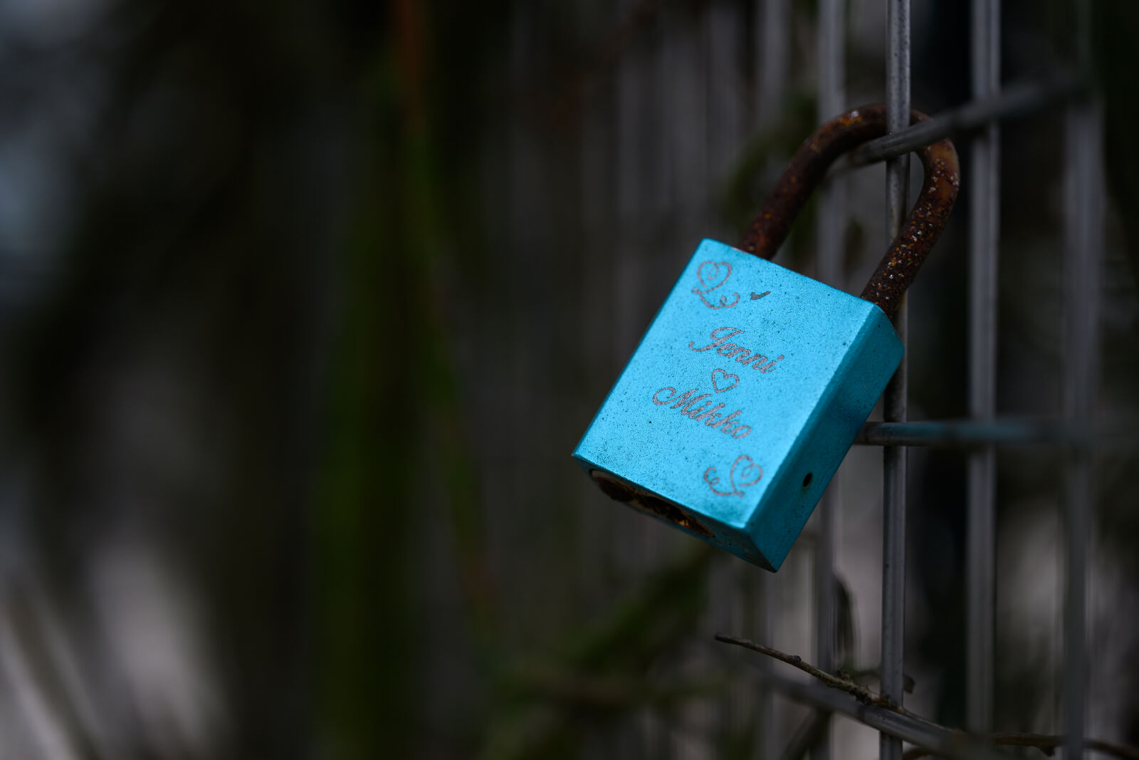 Nikon Z8 sample photo. Blue padlock photography