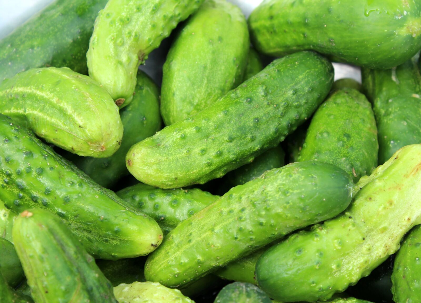 Canon EOS 1200D (EOS Rebel T5 / EOS Kiss X70 / EOS Hi) sample photo. Cucumbers, season, a vegetable photography