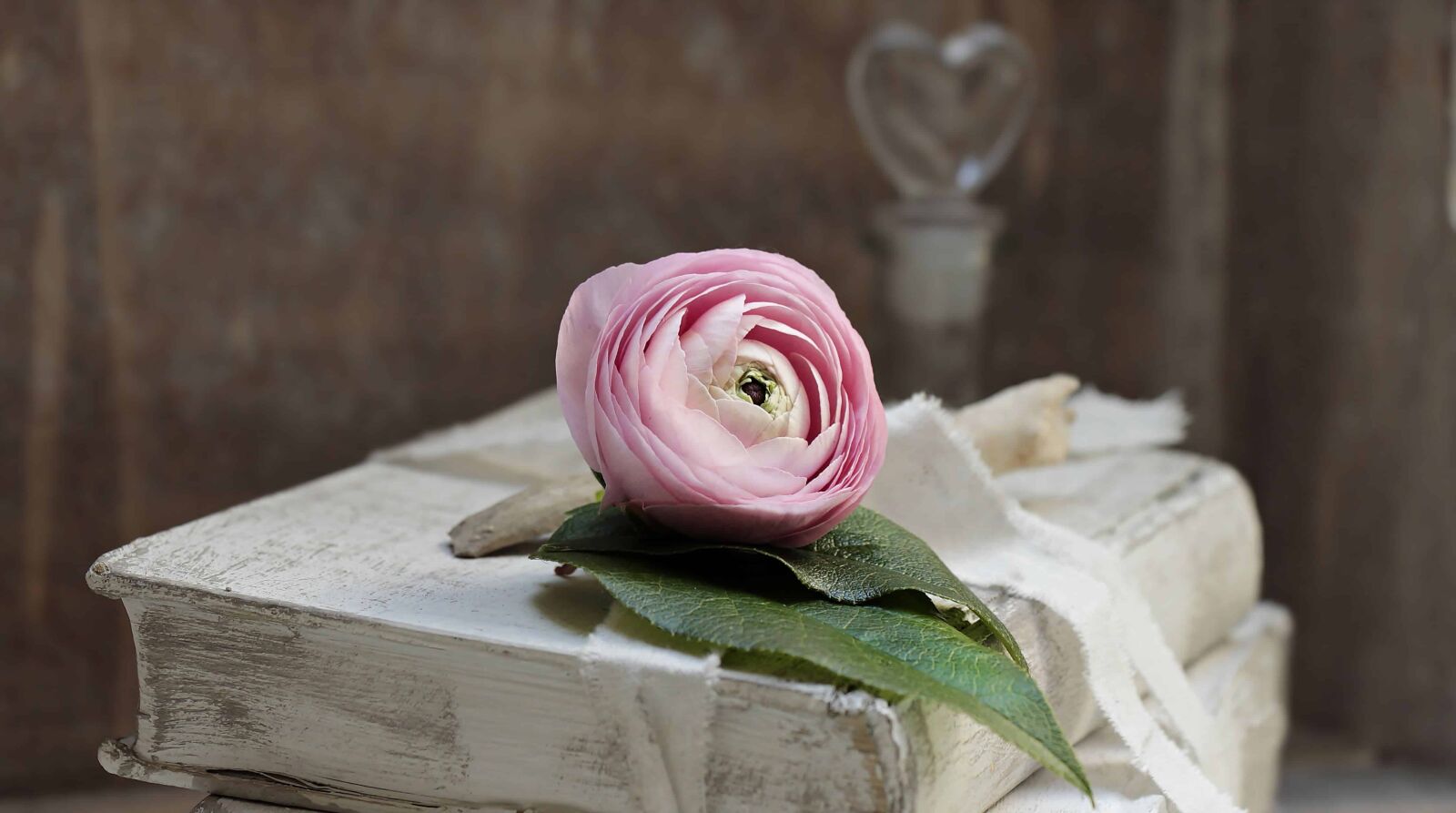 Canon EOS 100D (EOS Rebel SL1 / EOS Kiss X7) sample photo. Flower, petal, book, object photography